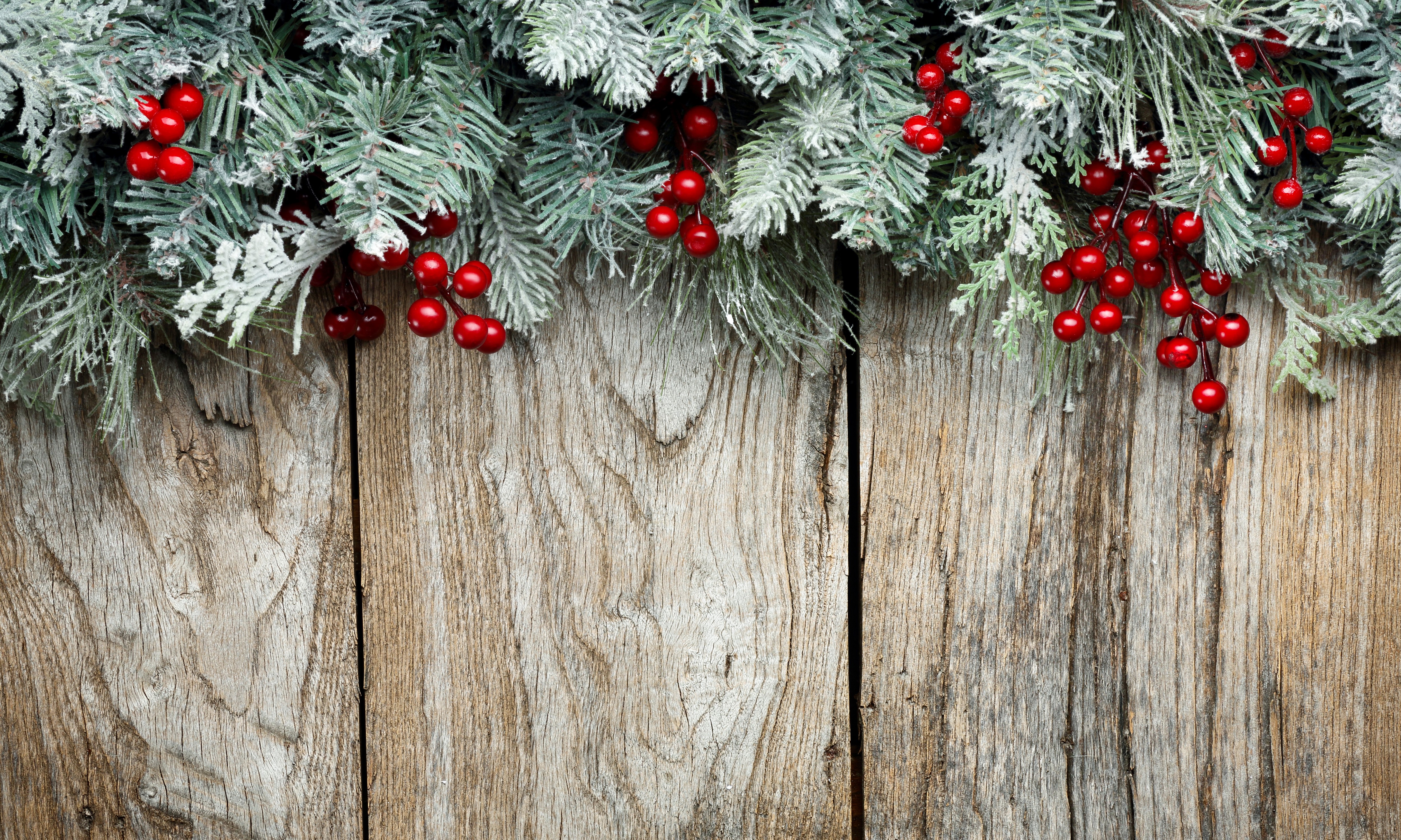 Christmas branches with red berries on wood planks HD Wallpaper