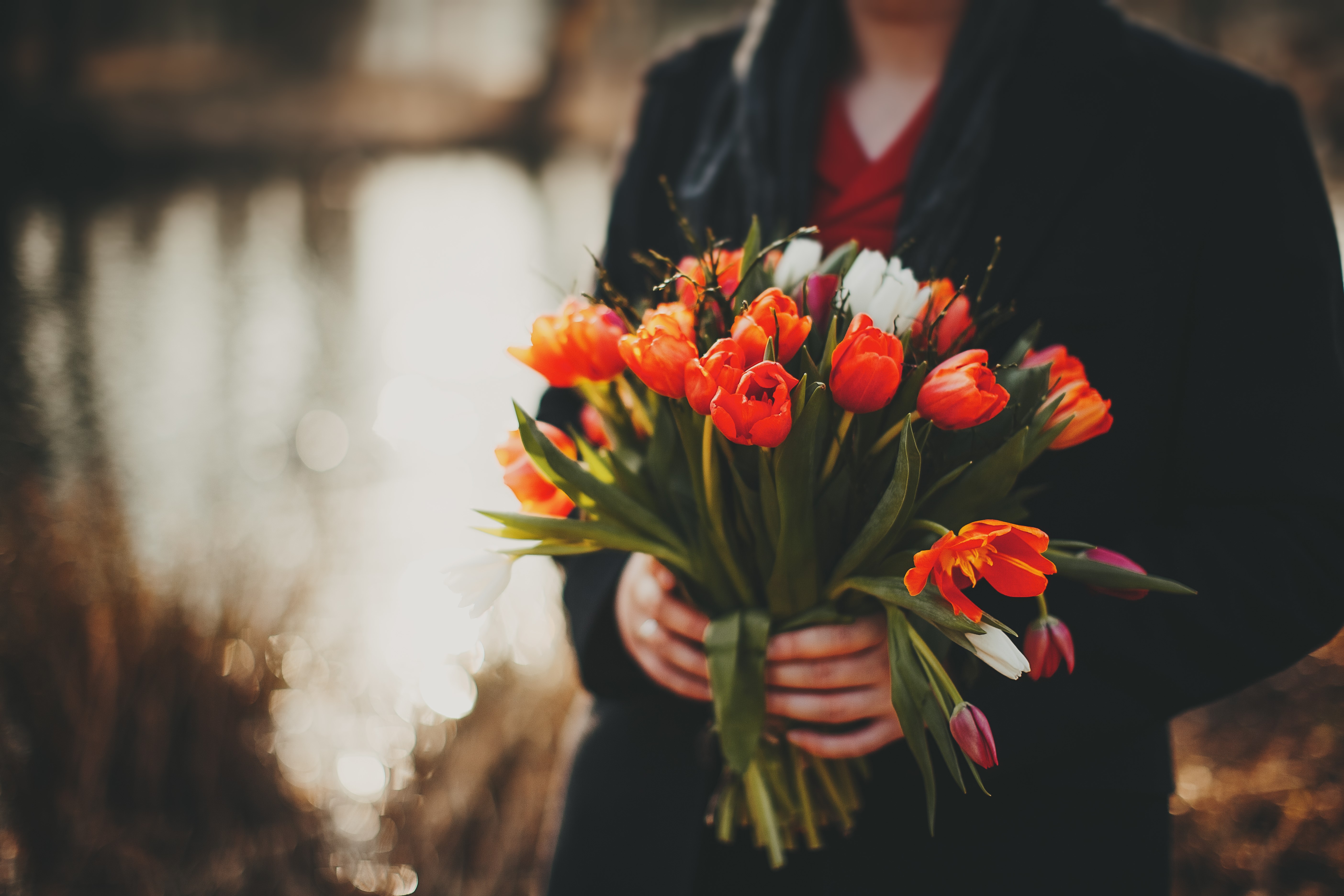 Bouquet of Tulips held by hands HD Wallpaper