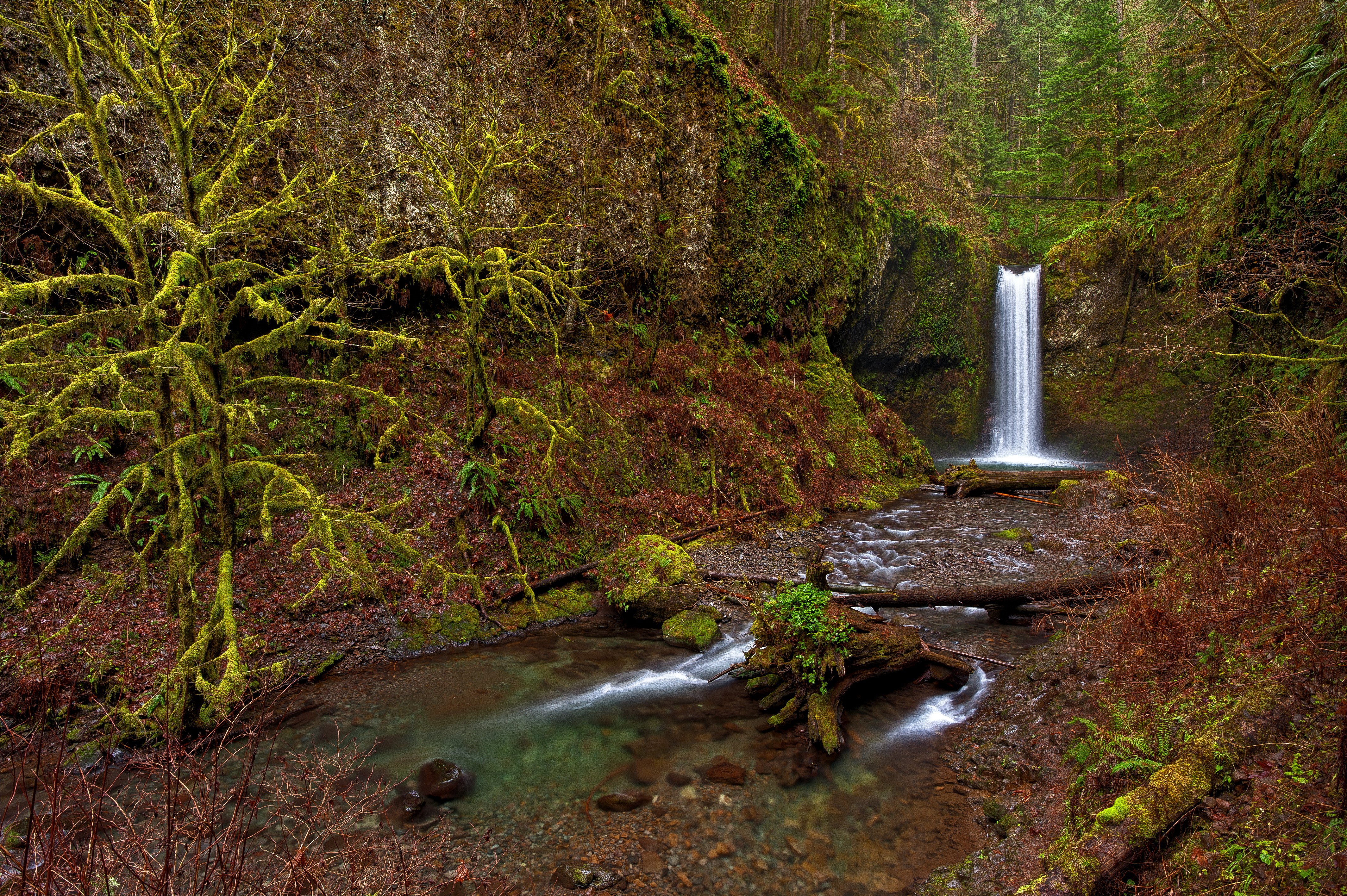 Wiesendanger Falls Oregon USA Autumn Moss HD Wallpaper