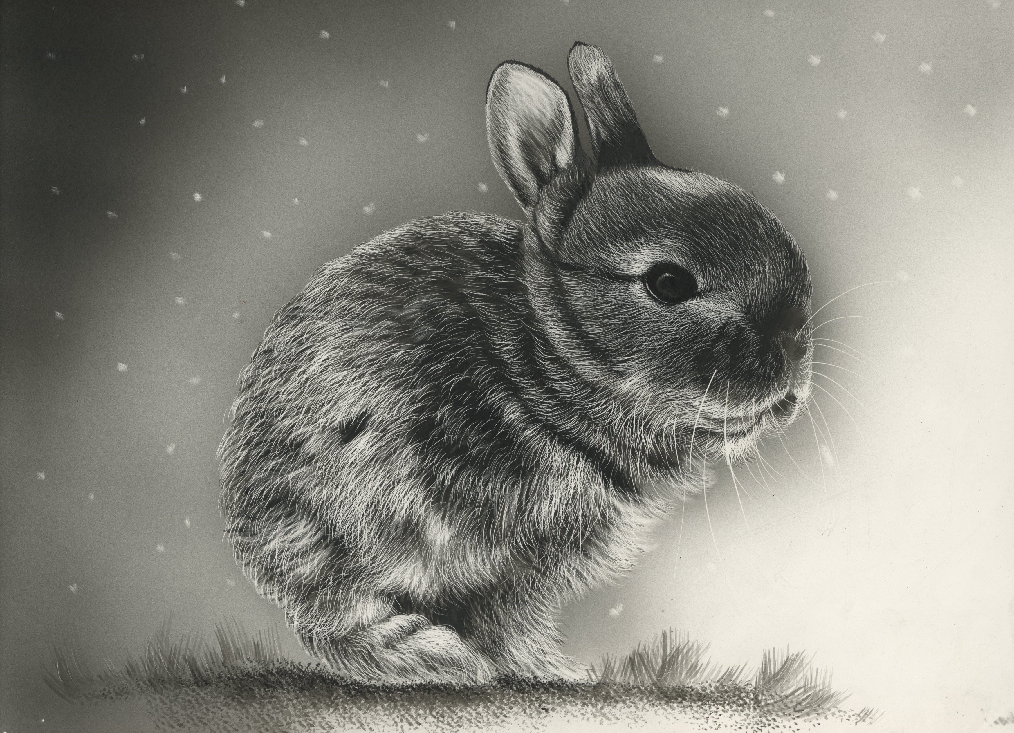 Black and white painting of a baby rabbit HD Wallpaper