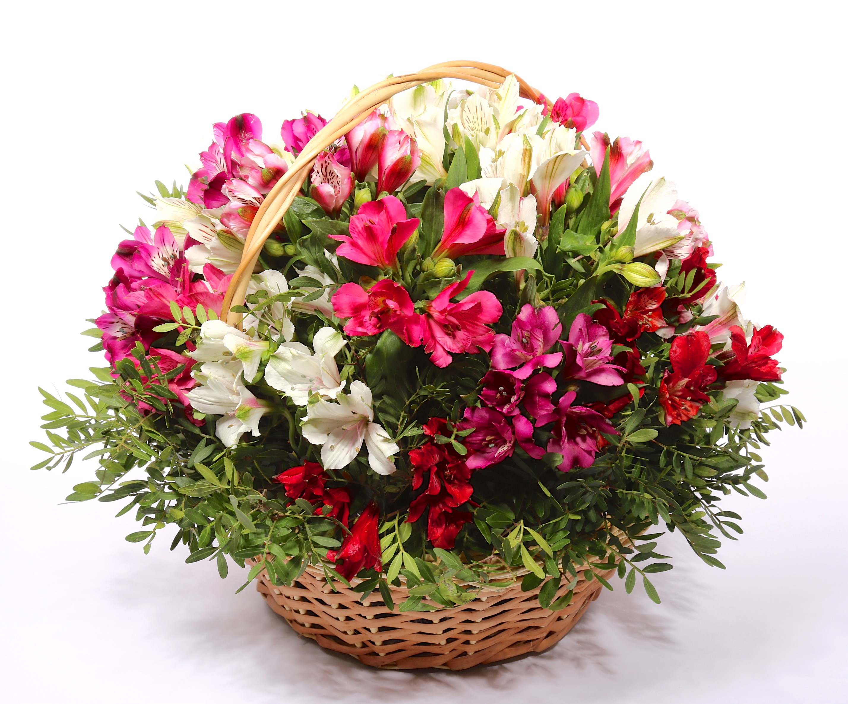 Basket of Alstroemeria flowers HD Wallpaper
