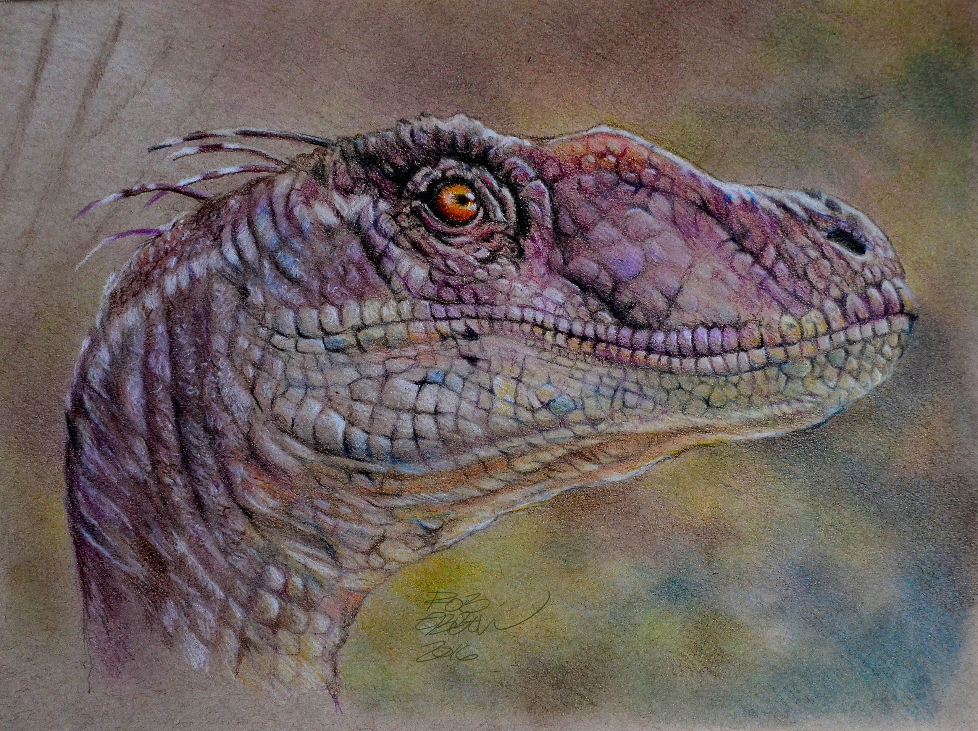 Velociraptor Dinosaur Head Painting HD Wallpaper