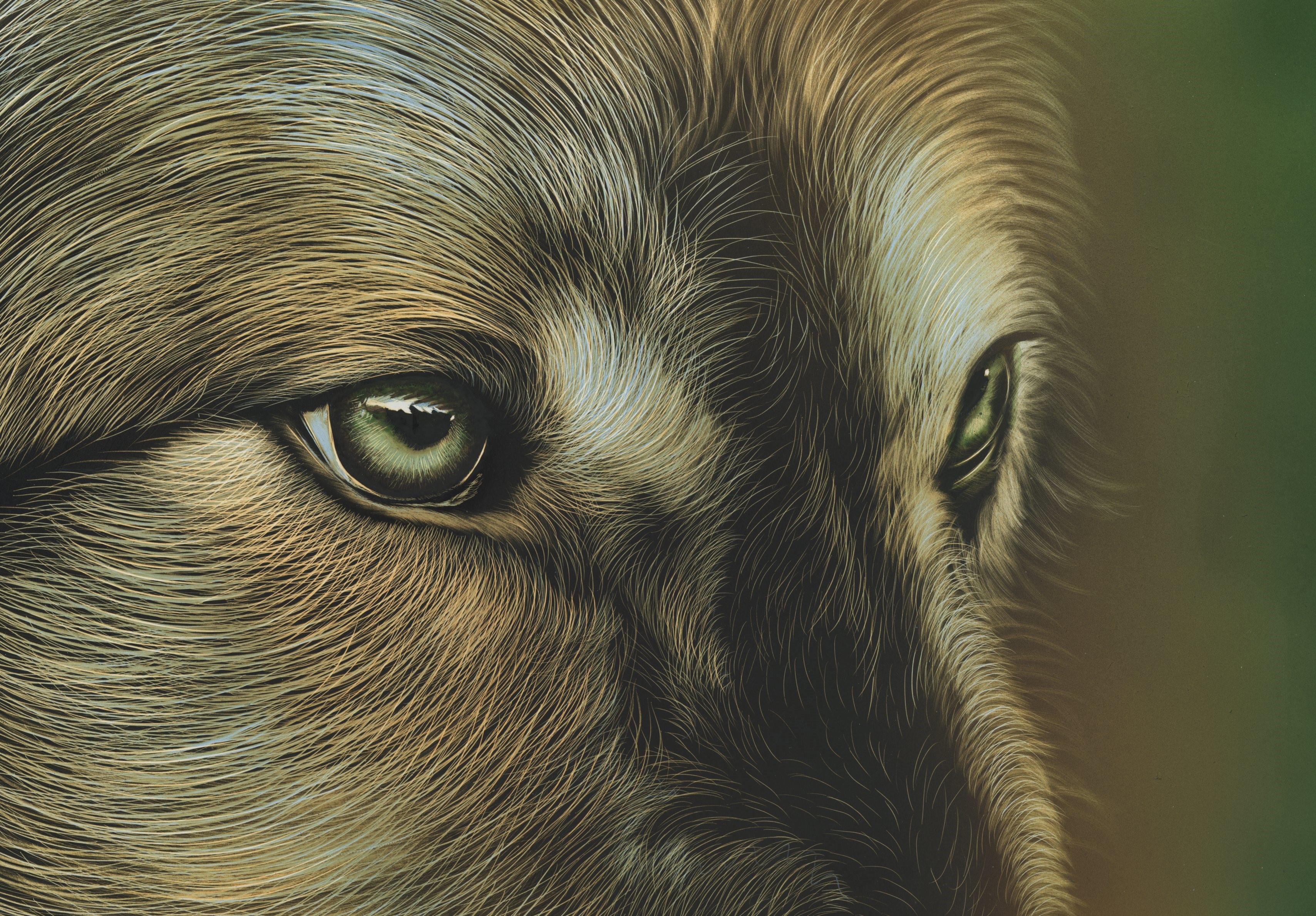 Close-up painting of a wolf's eyes HD Wallpaper