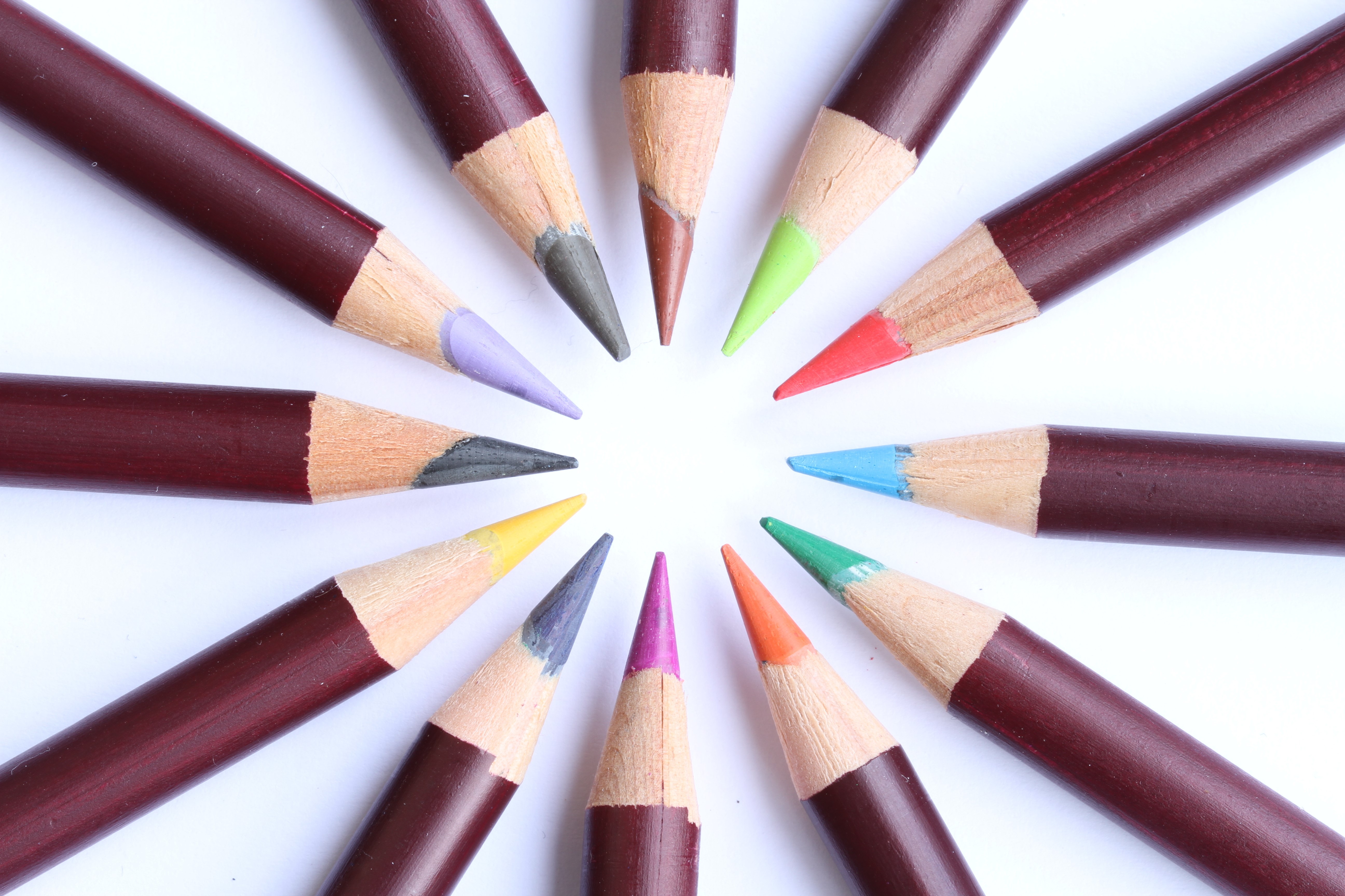 Colored pencils arranged in a circle on a white background HD Wallpaper