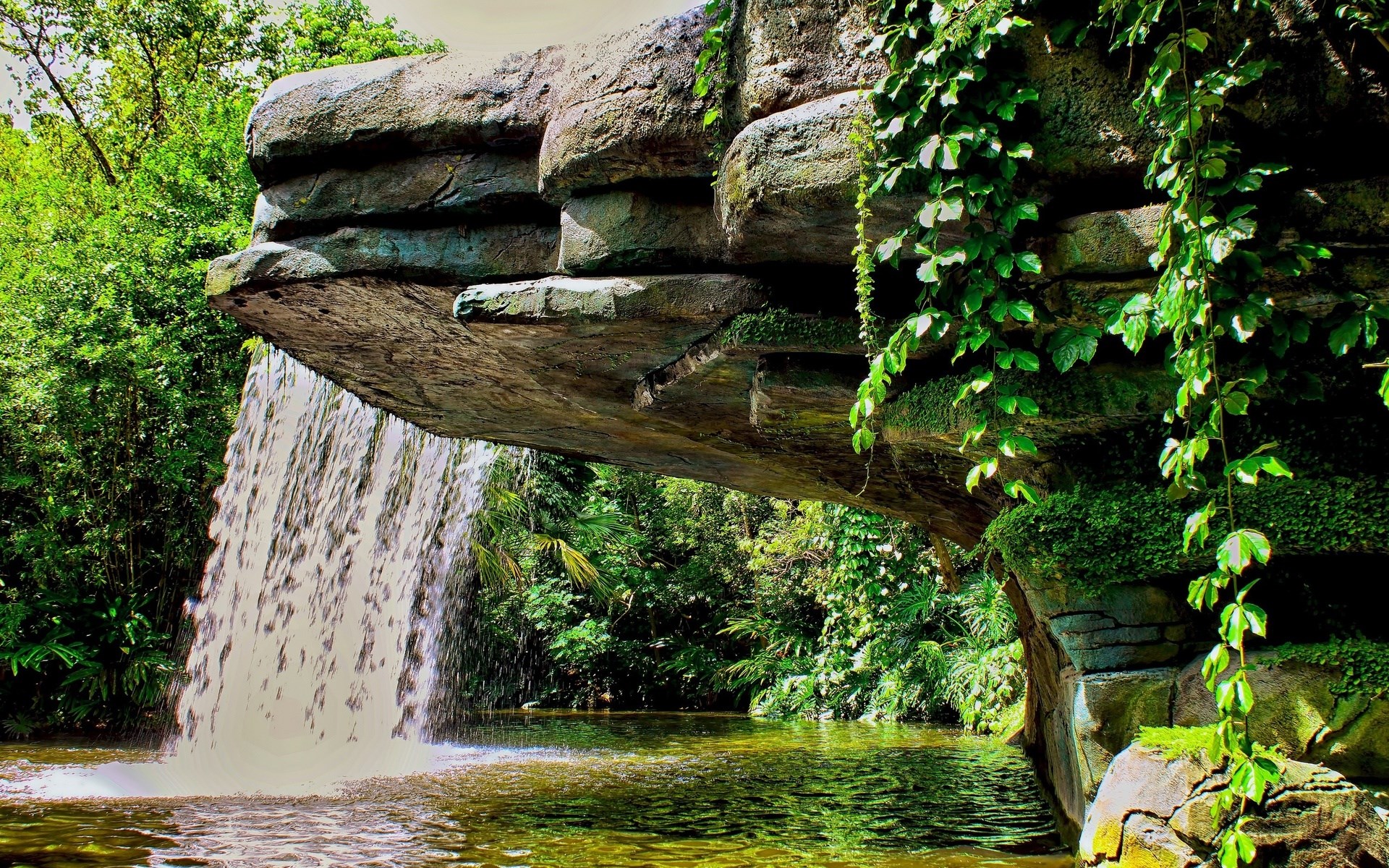 Waterfall cascading over rocks into a jungle pool HD Wallpaper