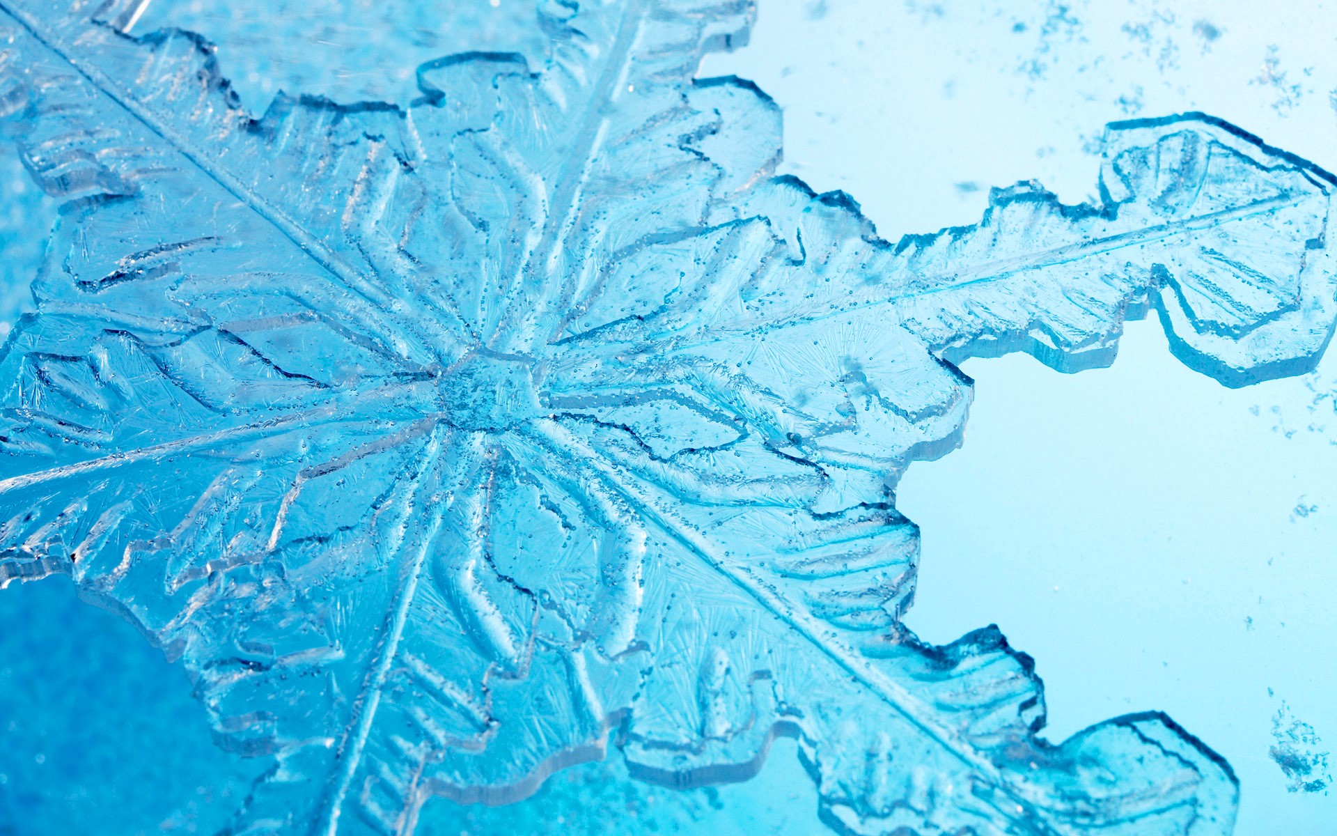 Close-up of a blue snowflake ice formation HD Wallpaper