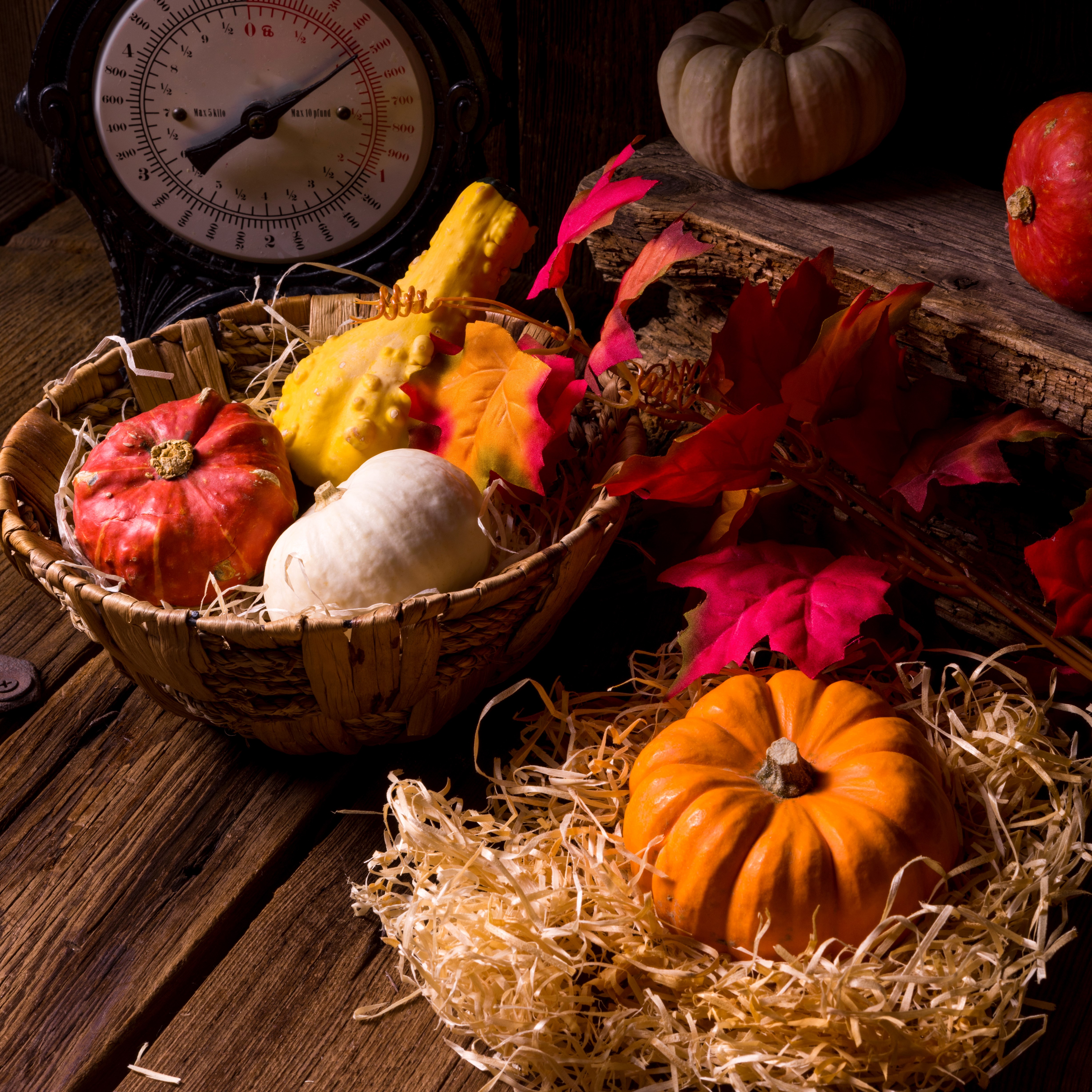 Autumn pumpkins and gourds in a basket HD Wallpaper
