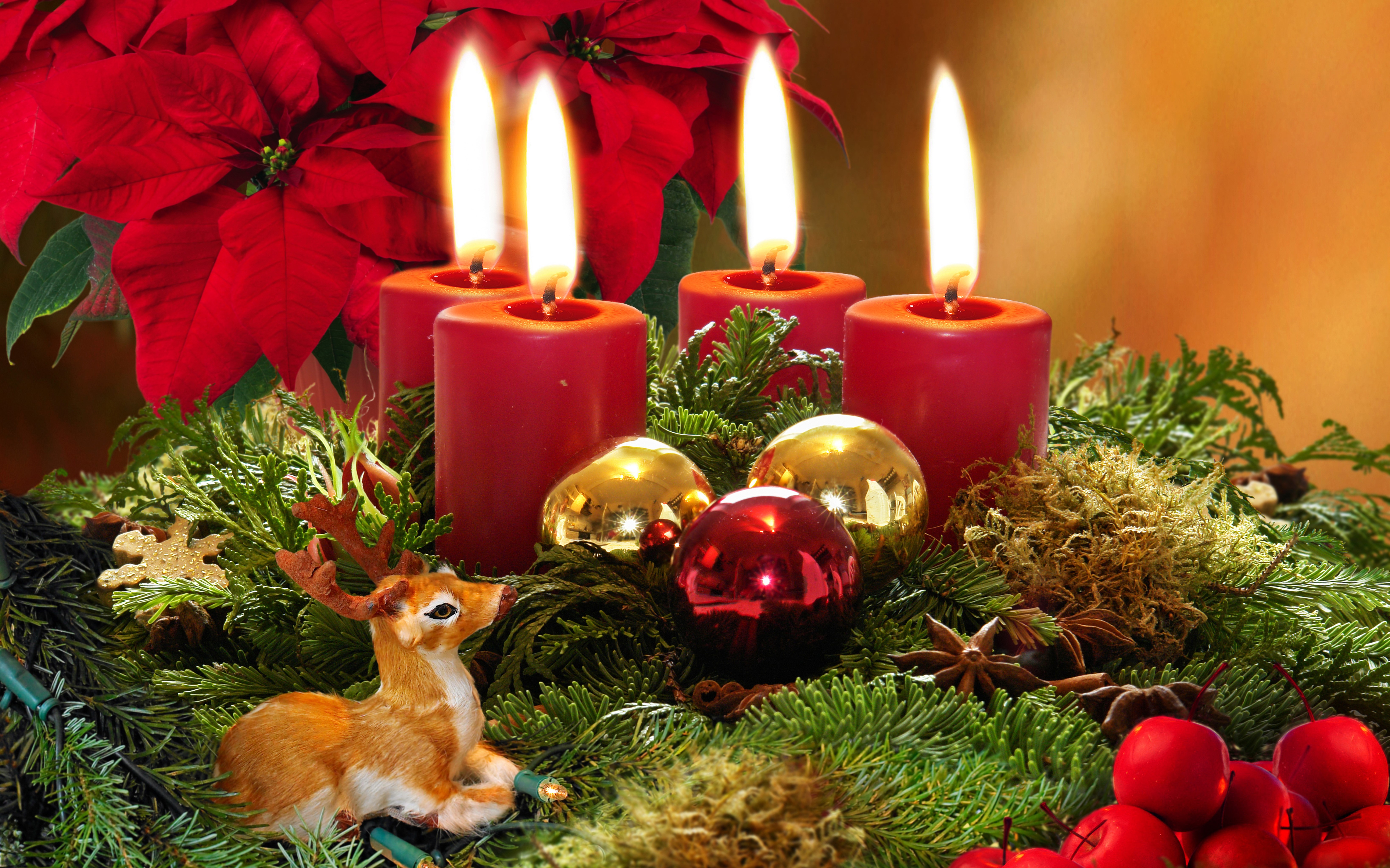 Christmas Advent Wreath with Candles and Deer HD Wallpaper