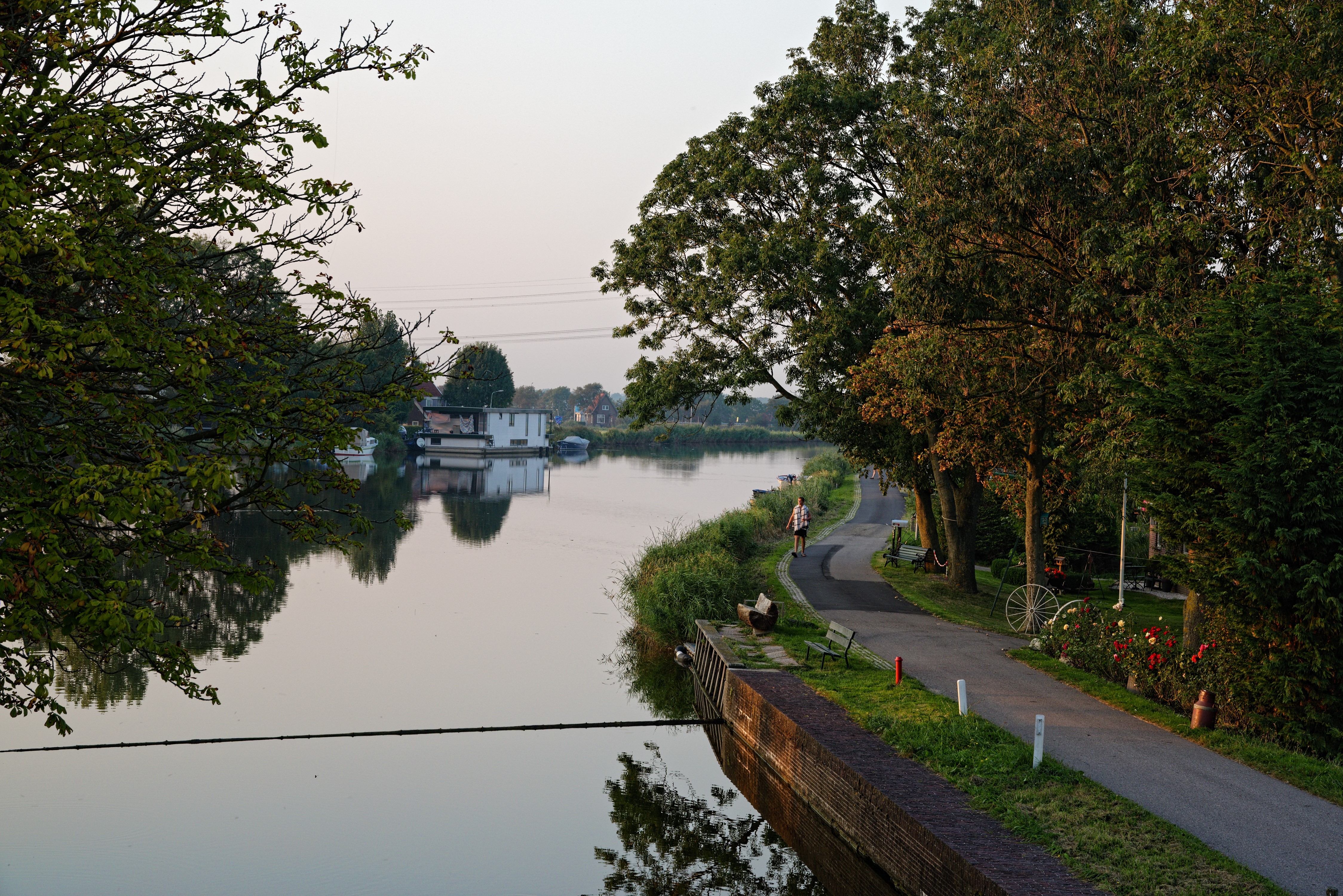 4K Nauerna Netherlands River Road Trees HD Wallpaper