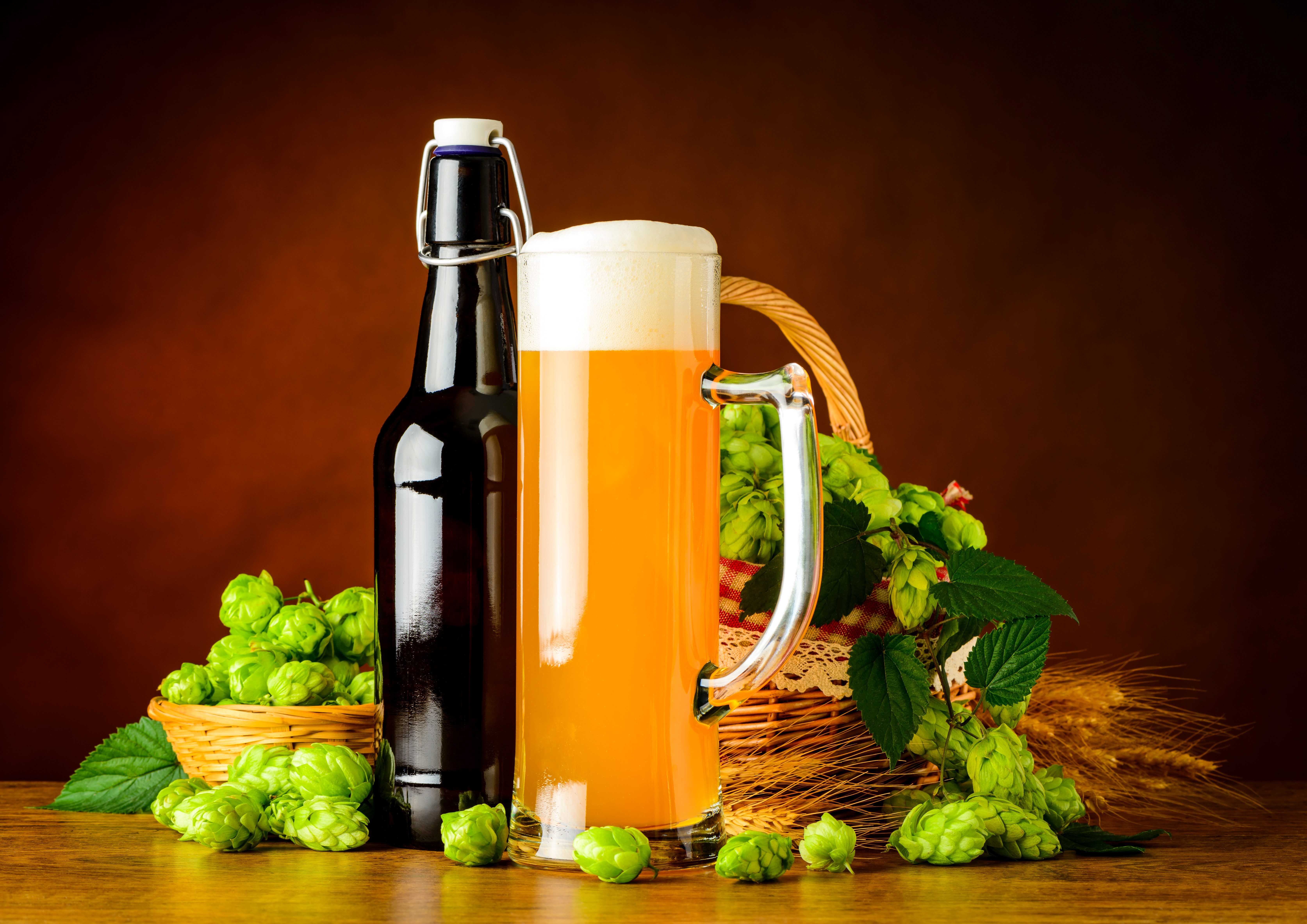 Beer bottle and mug with hops and wheat HD Wallpaper