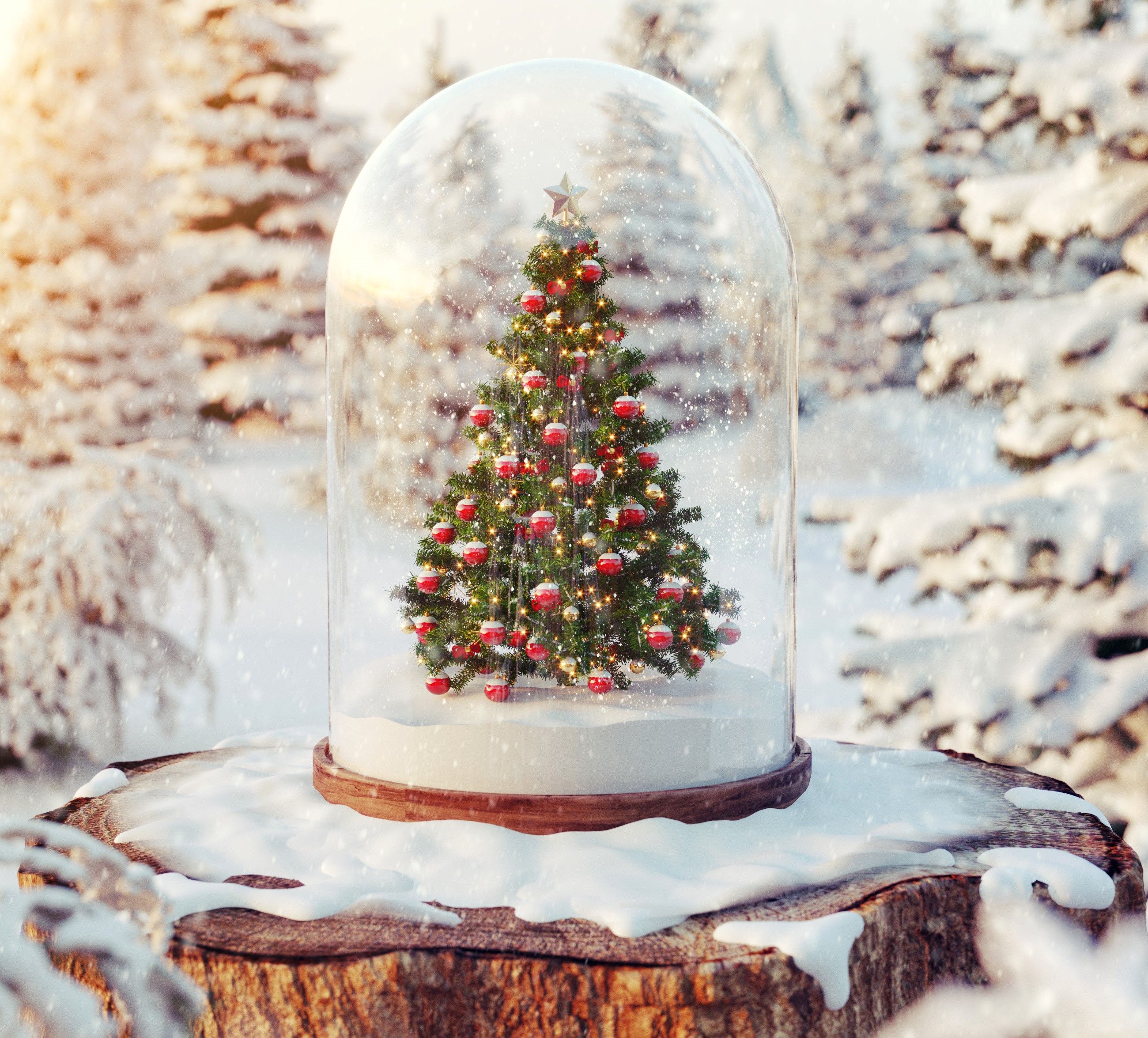Christmas tree inside a snow globe on a stump HD Wallpaper