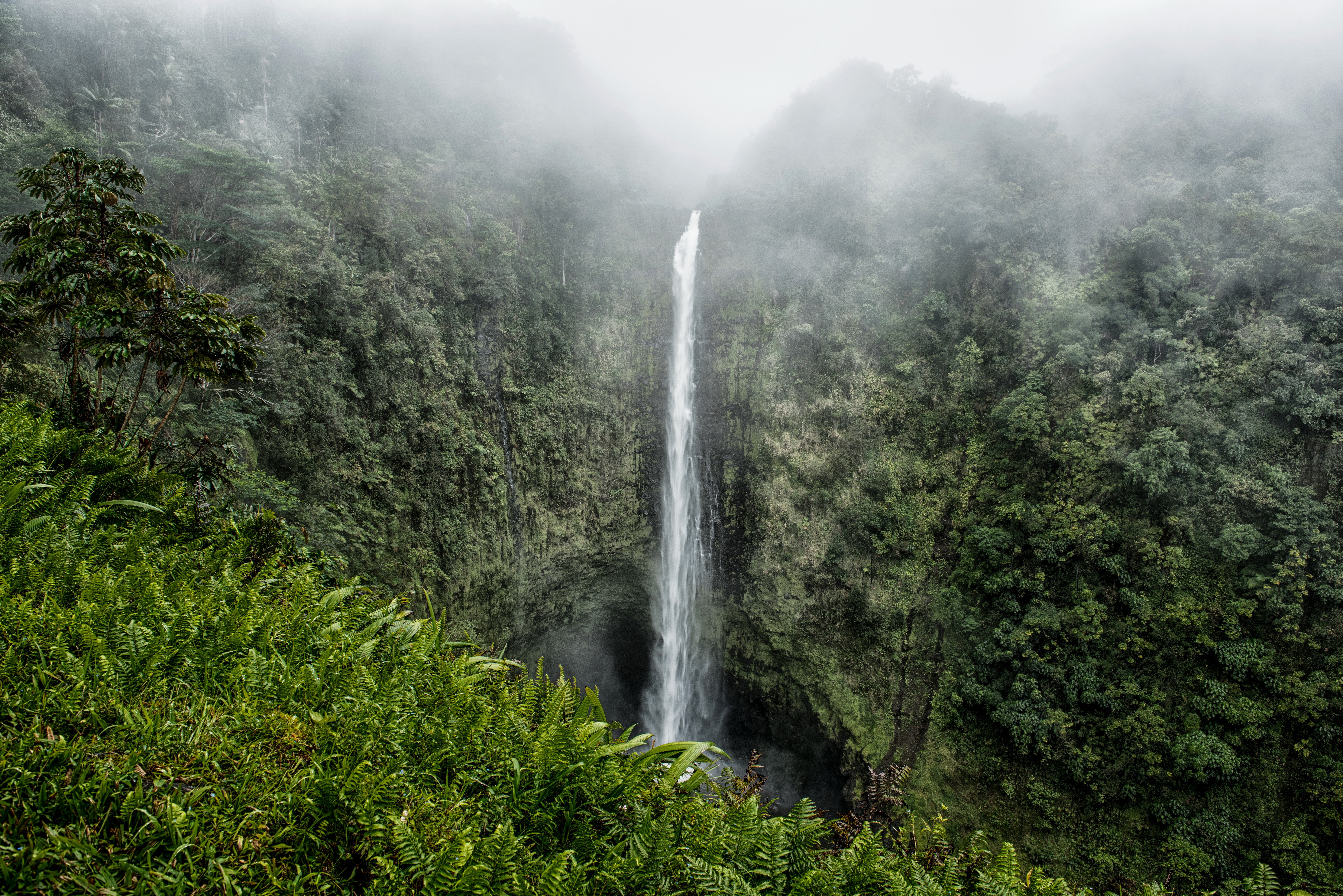 Akaka Falls State Park, Hawaii, USA HD Wallpaper