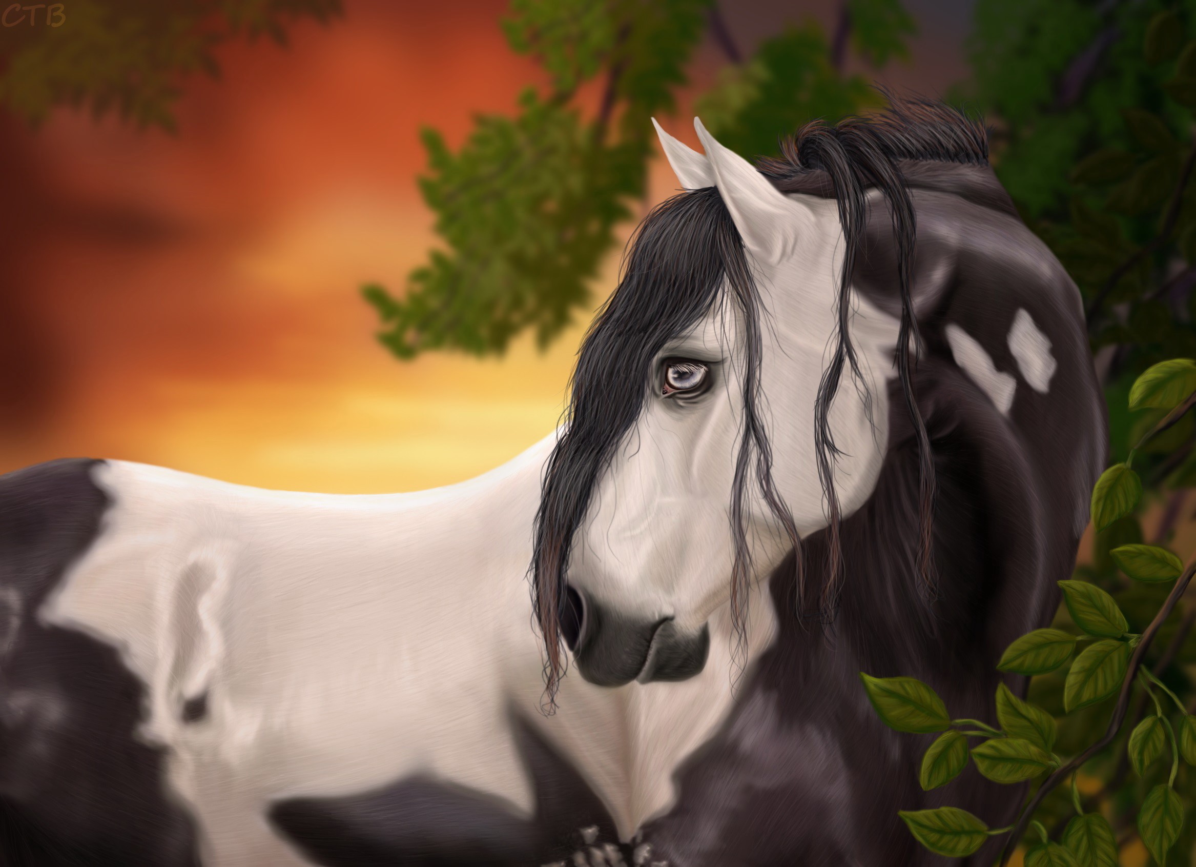 A painted horse in a forest at sunset HD Wallpaper