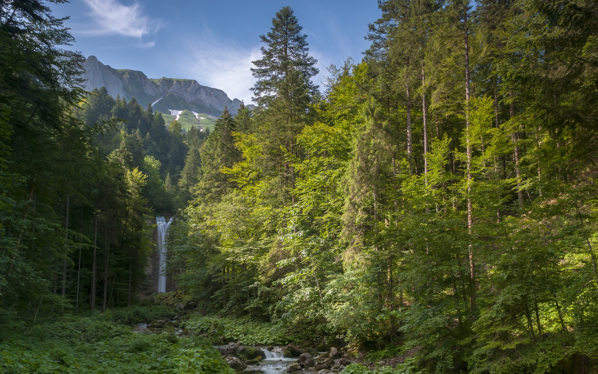 Waterfall in a forest with mountains in the background HD Wallpaper