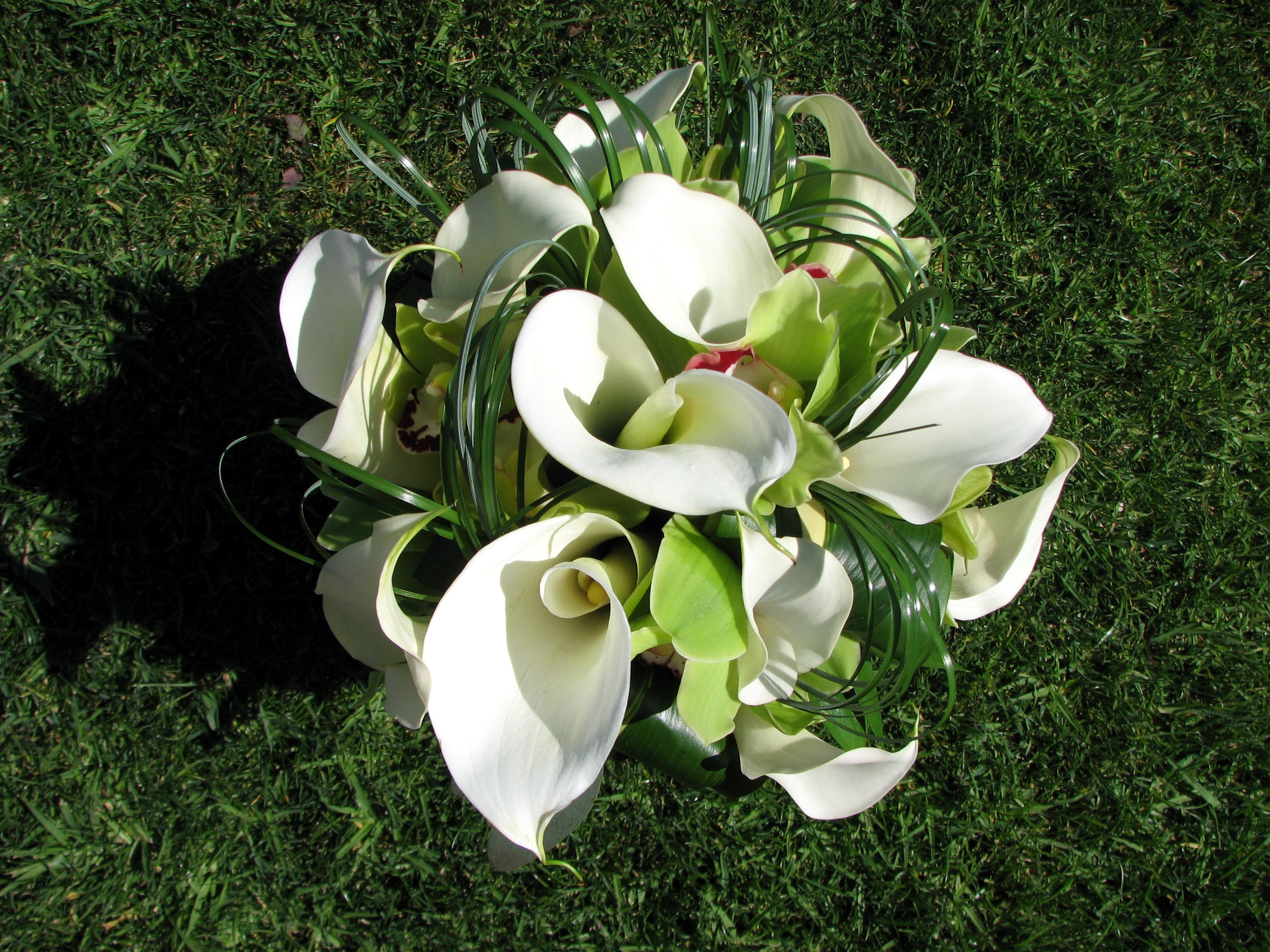White Calla Lily and Green Orchid Bouquet on Grass HD Wallpaper