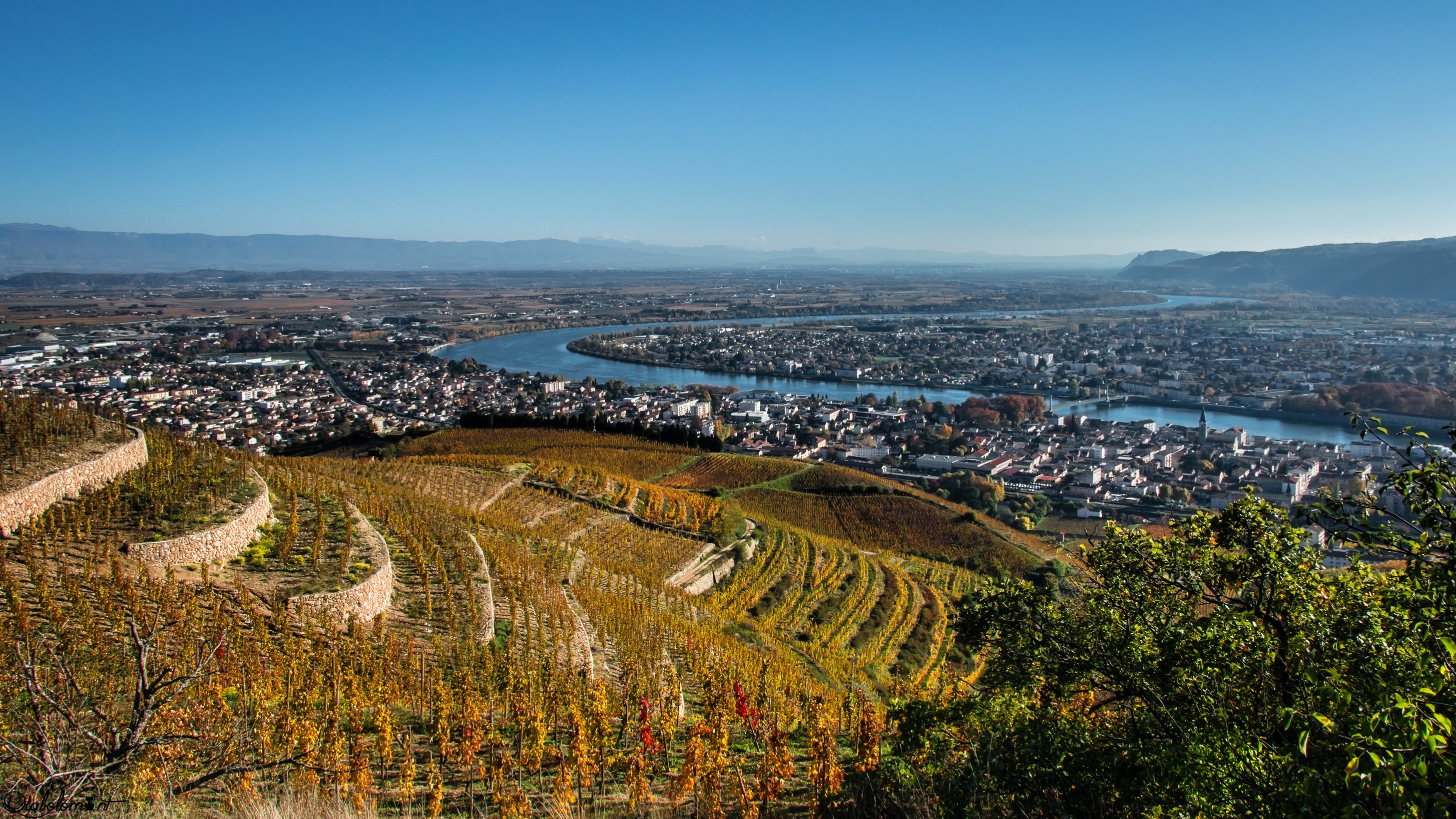 Vineyards overlooking Tain-l'Hermitage and the Rhone River in France HD Wallpaper