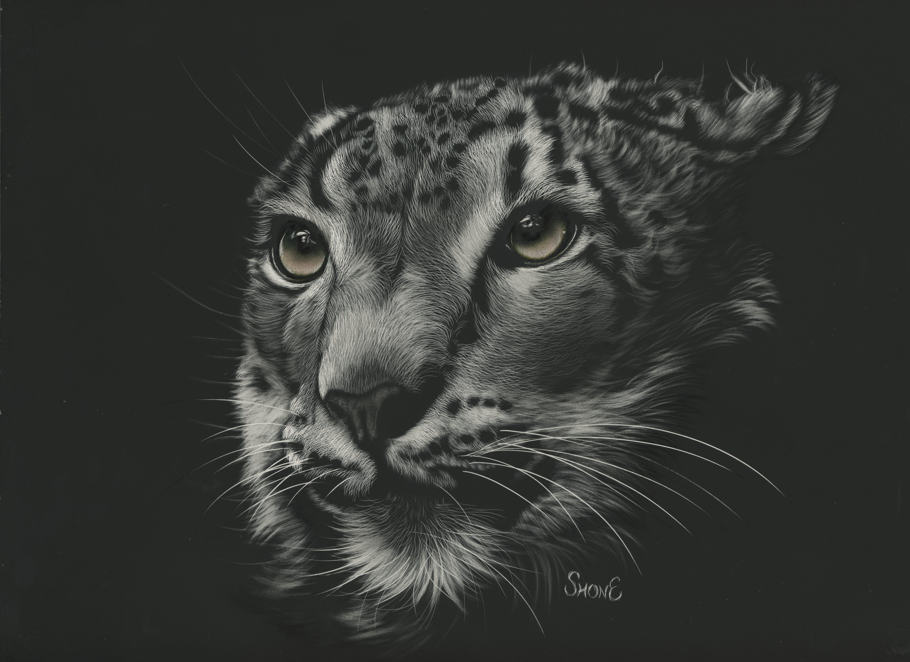 Painting of a Snow Leopard's Face HD Wallpaper