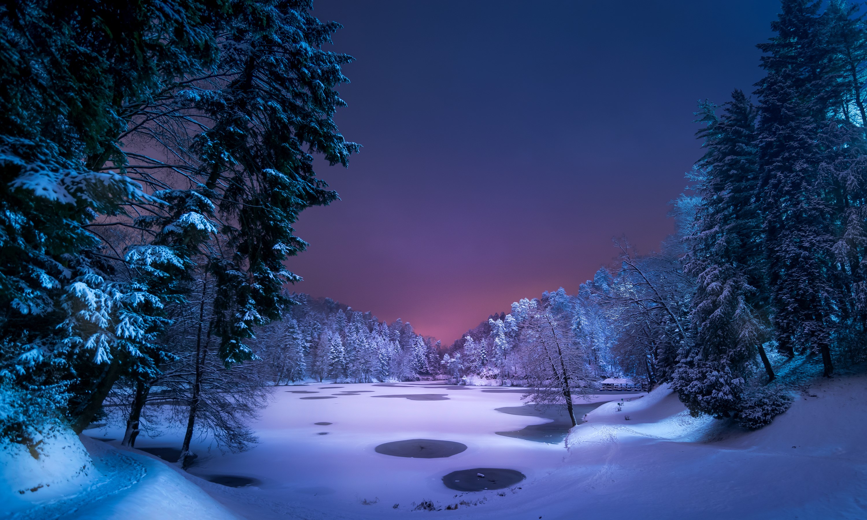 Snowy forest with frozen lake at twilight HD Wallpaper