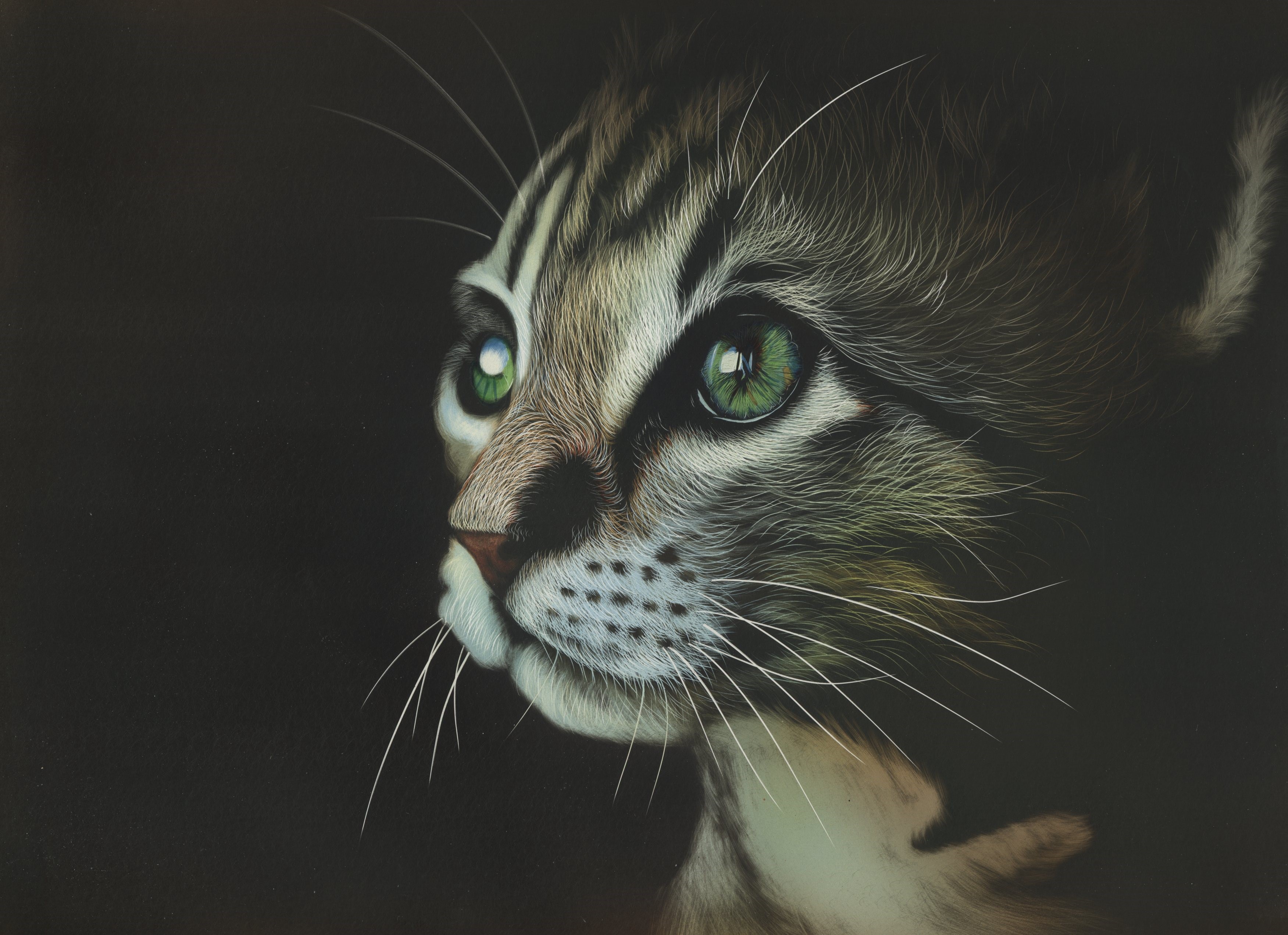 Painting of a kitten's face with green eyes HD Wallpaper