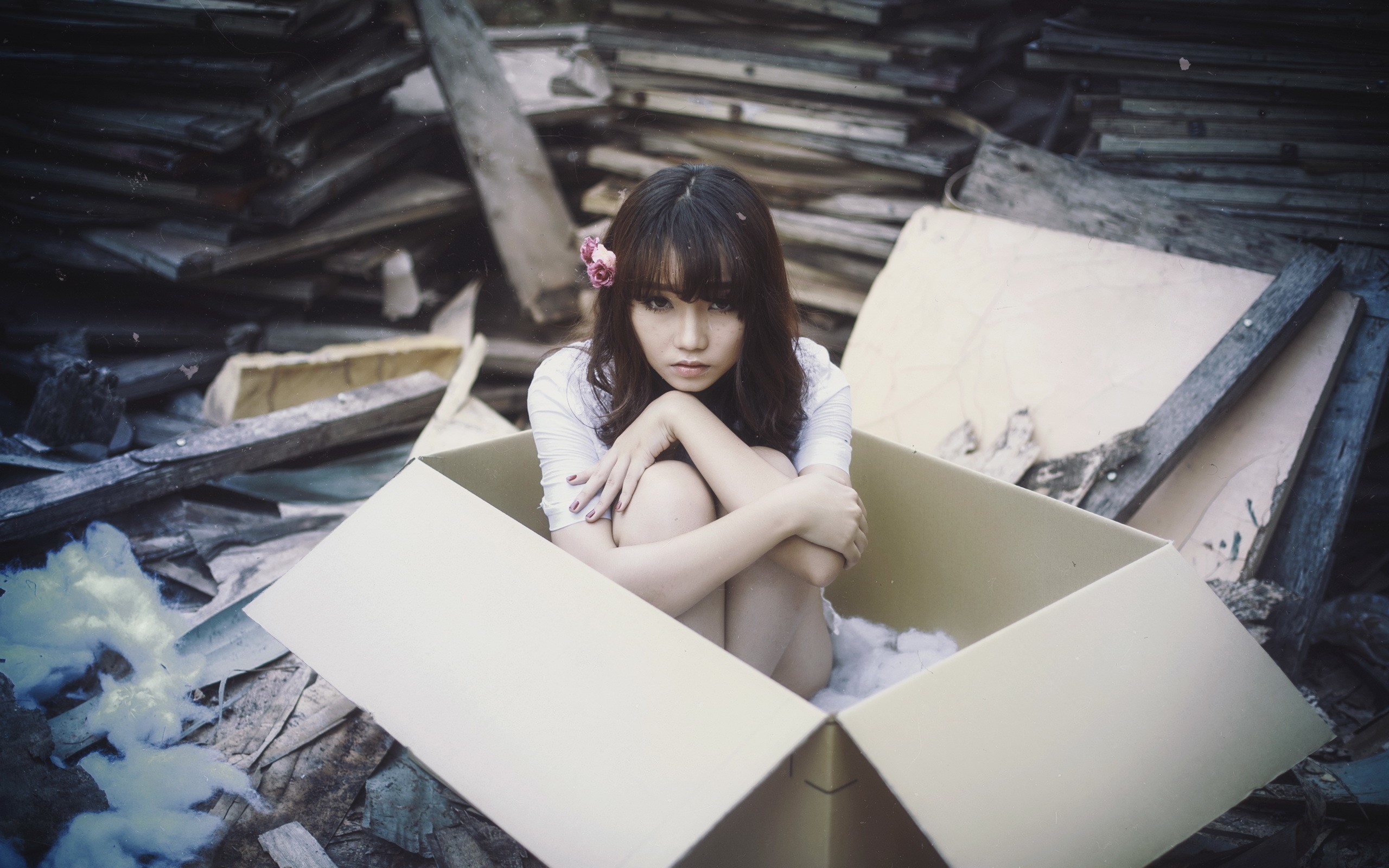 Asian girl sitting in a cardboard box HD Wallpaper