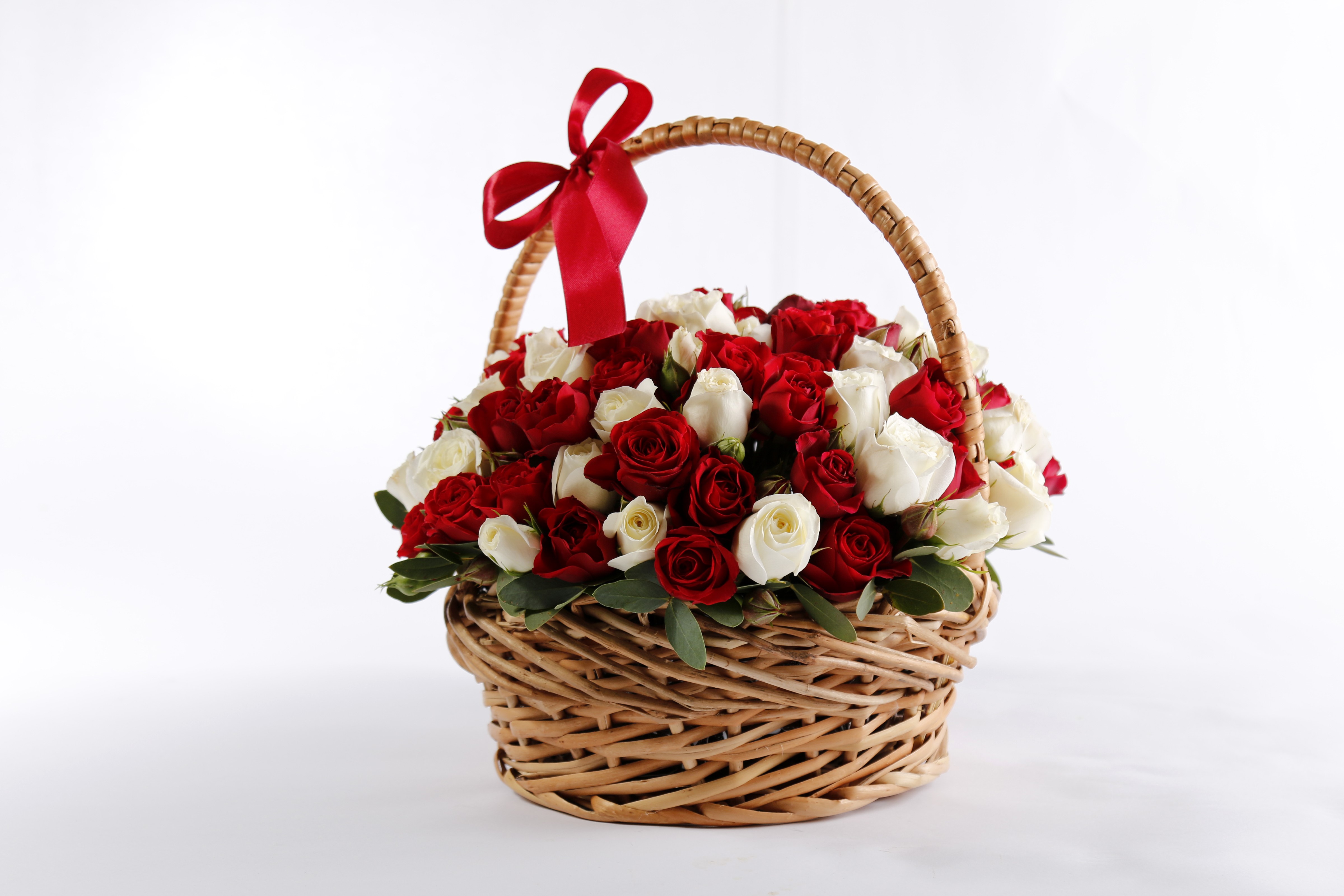 Basket of Red and White Roses with Red Bow HD Wallpaper