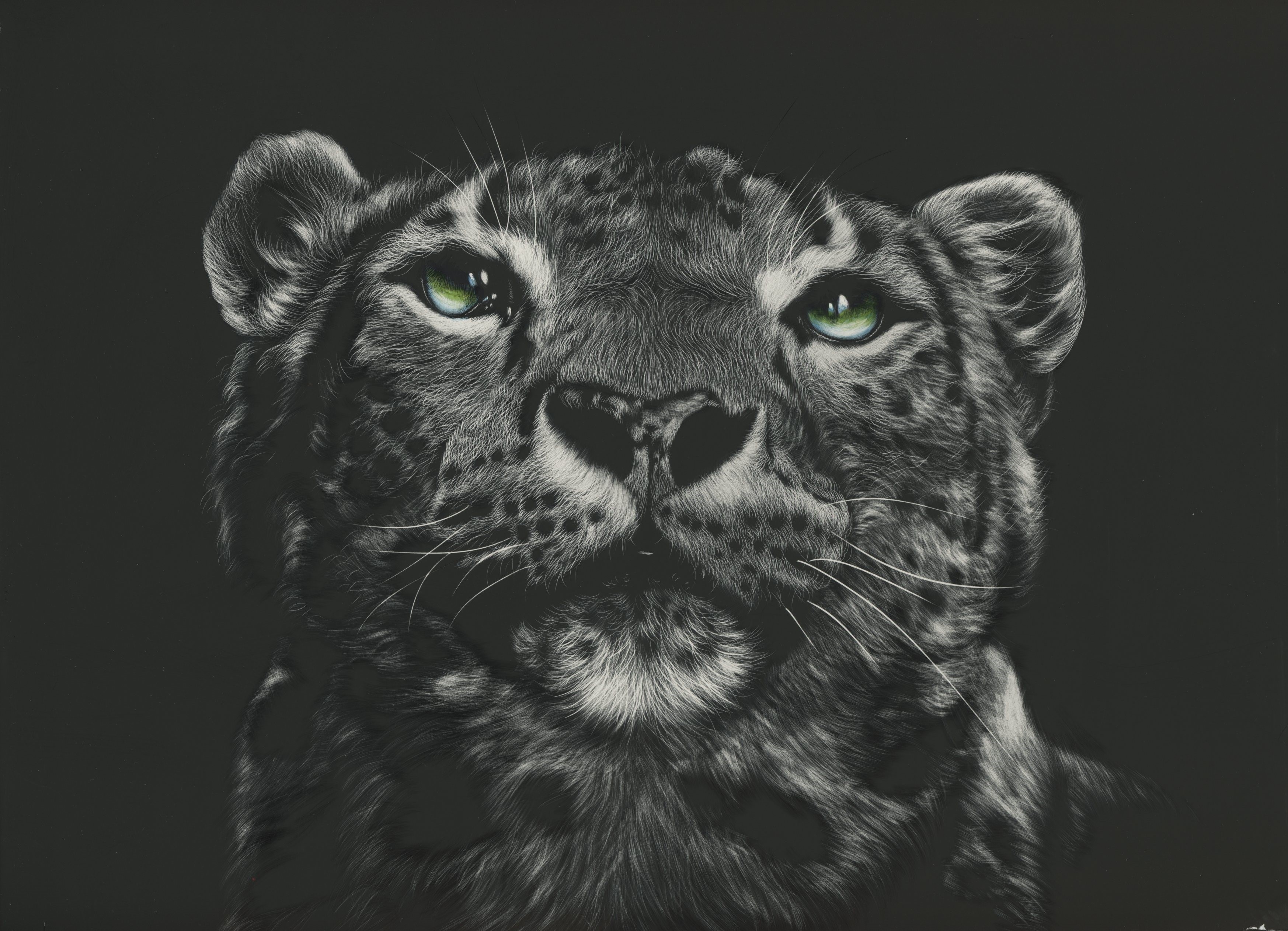 Painting of a snow leopard's head HD Wallpaper