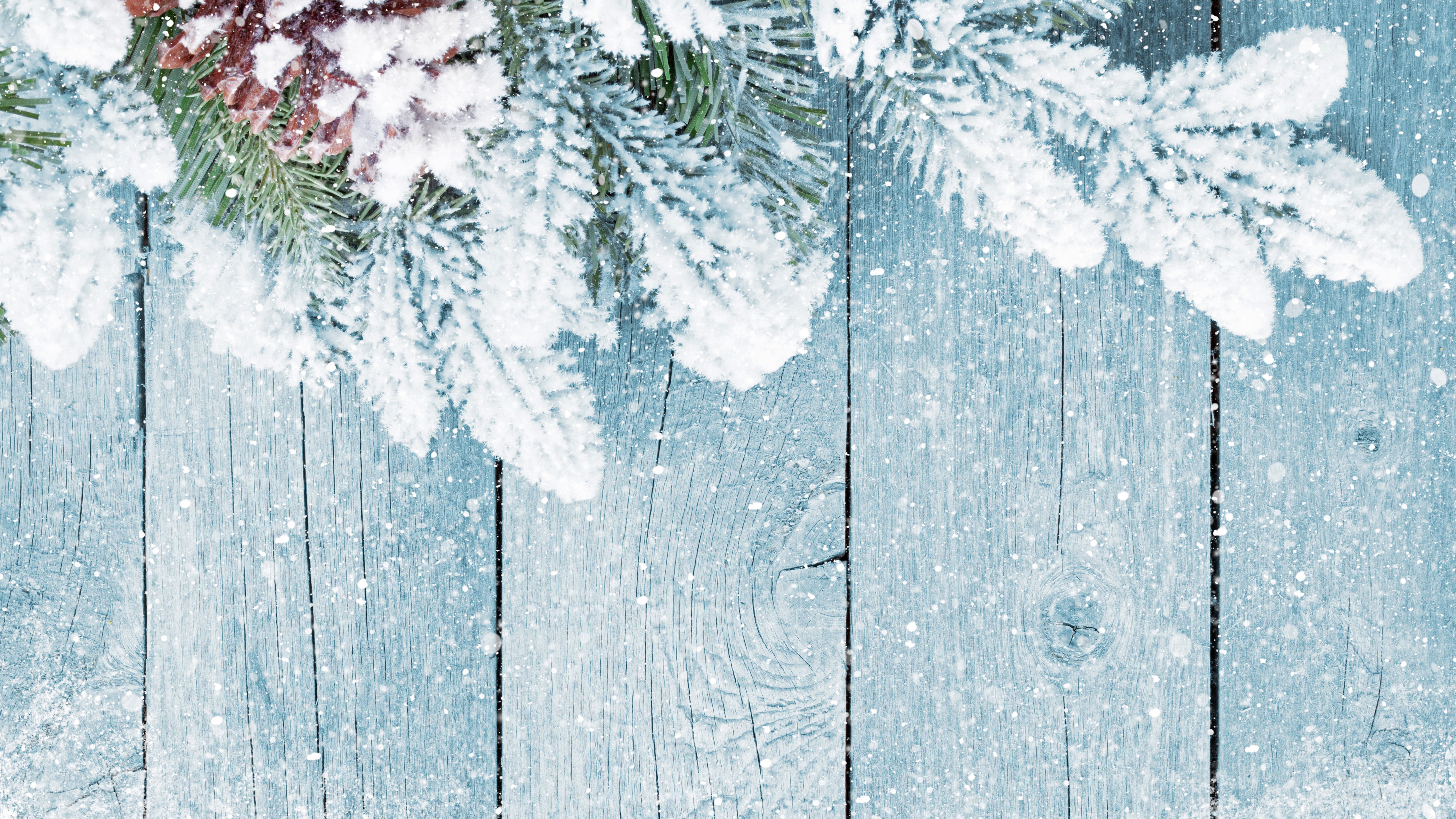 Snow-covered pine branches and pine cone on wood planks HD Wallpaper