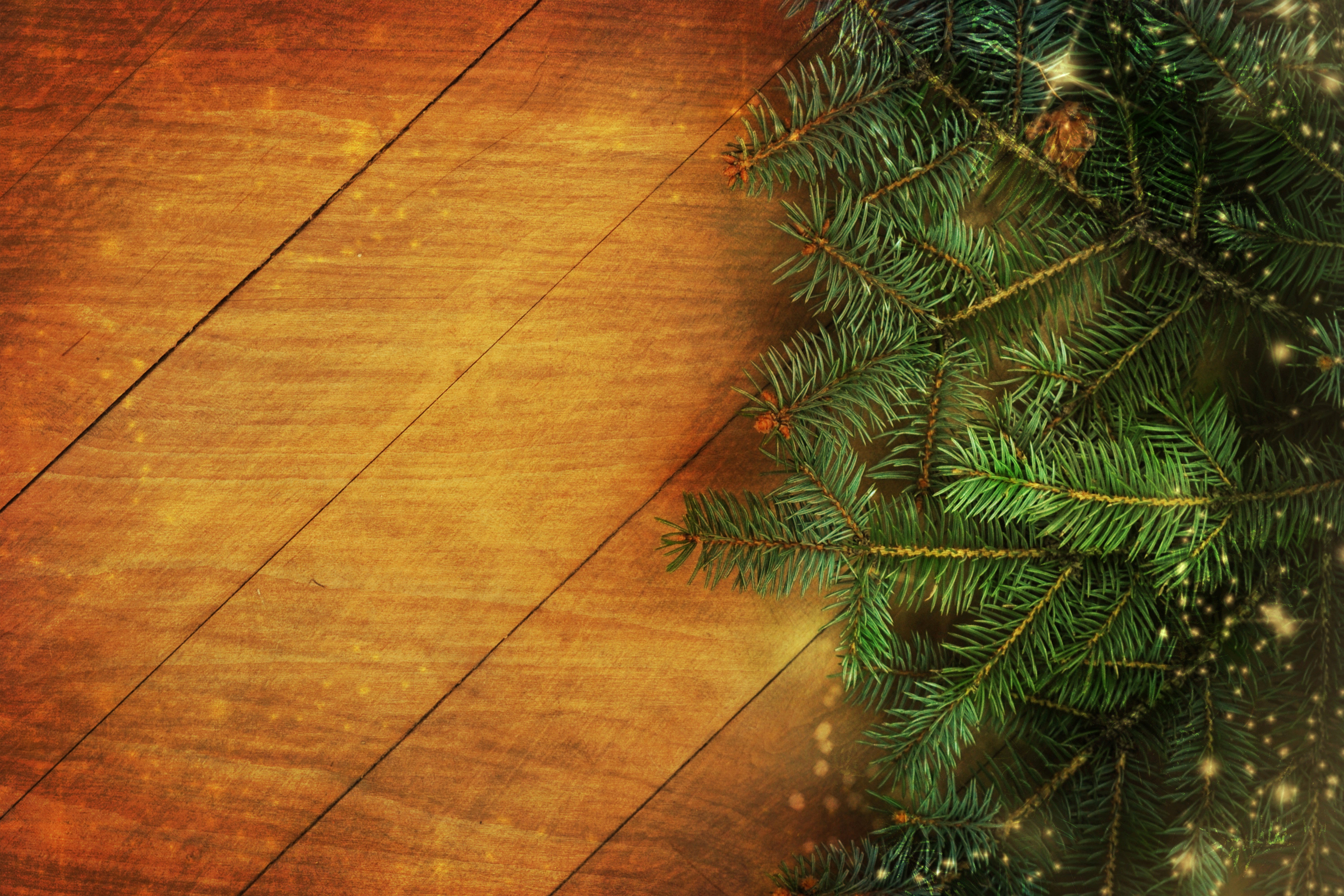 Christmas fir branches on wooden planks HD Wallpaper