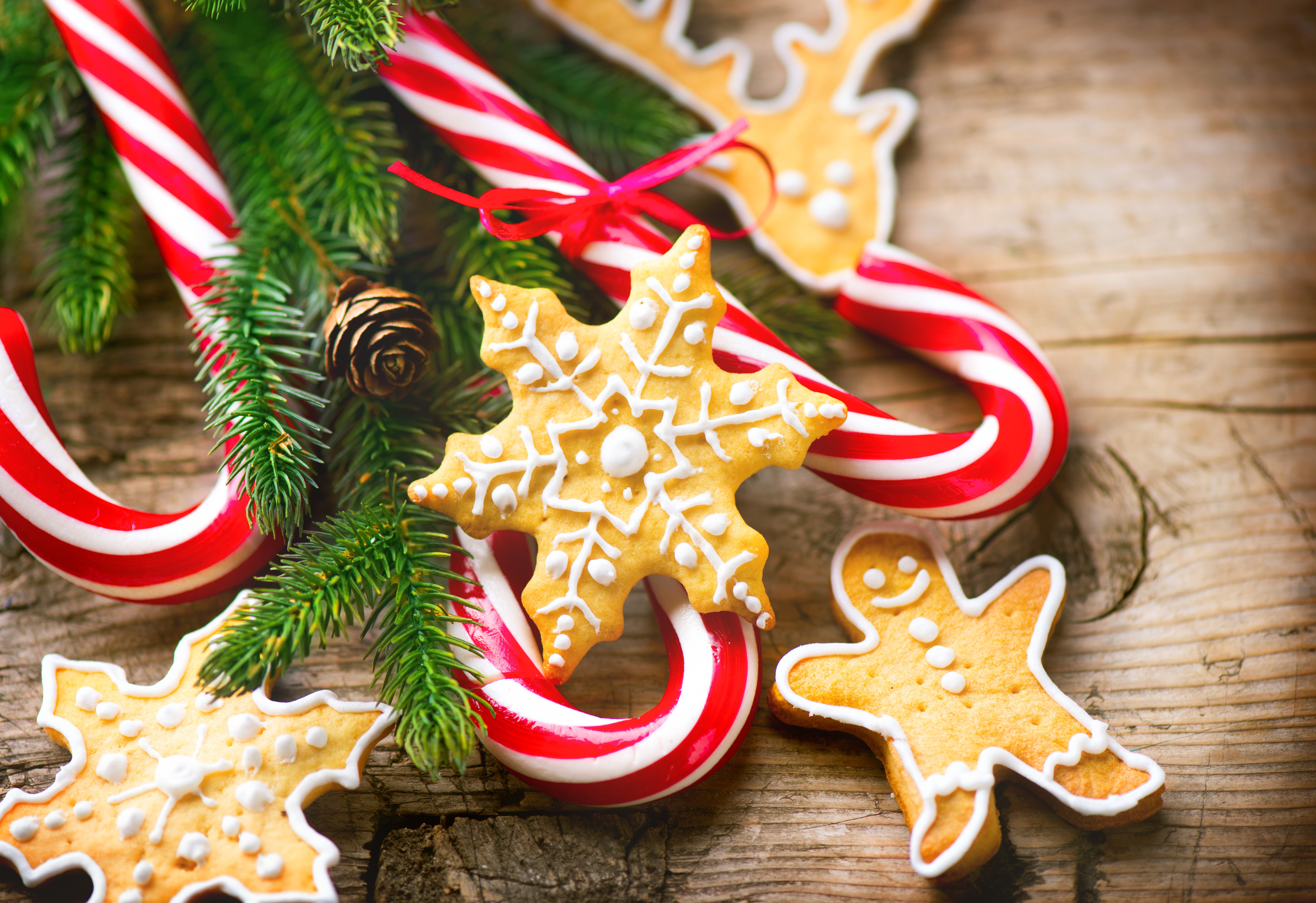 Christmas candy canes and cookies with pine branches HD Wallpaper