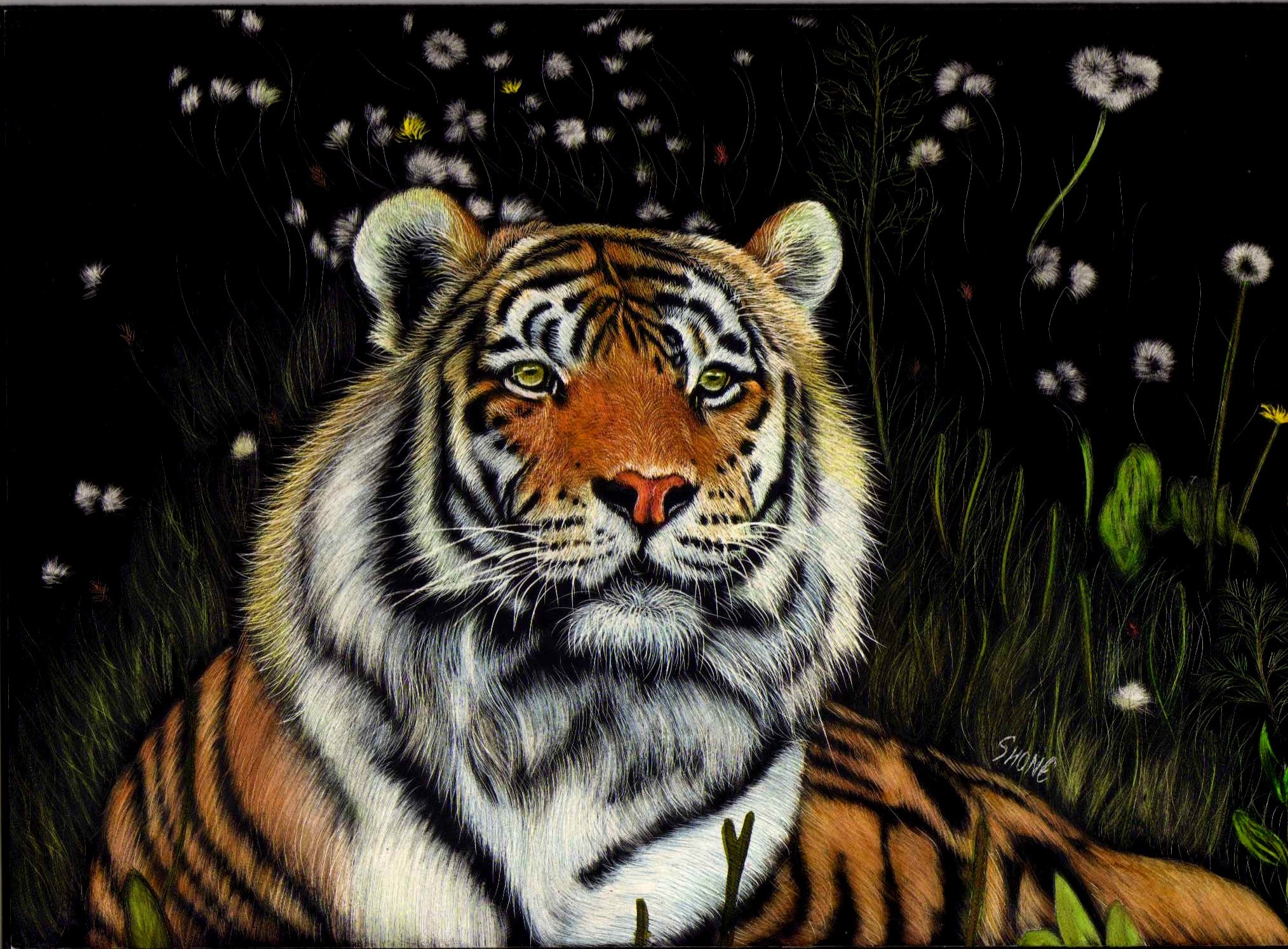 Tiger in a dark field with flowers HD Wallpaper