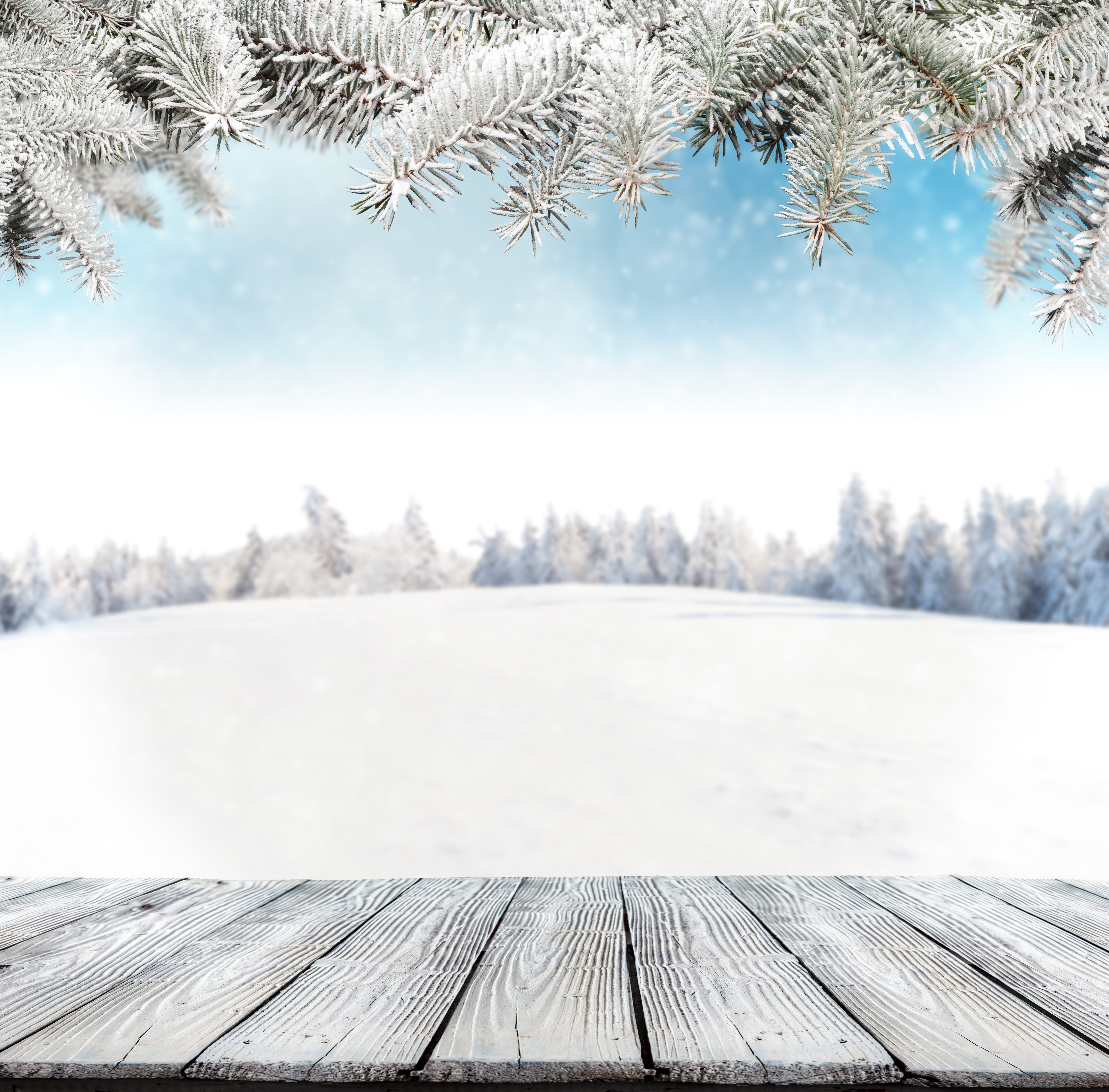 Winter Snow Branches Wood Planks Template Greeting Card HD Wallpaper