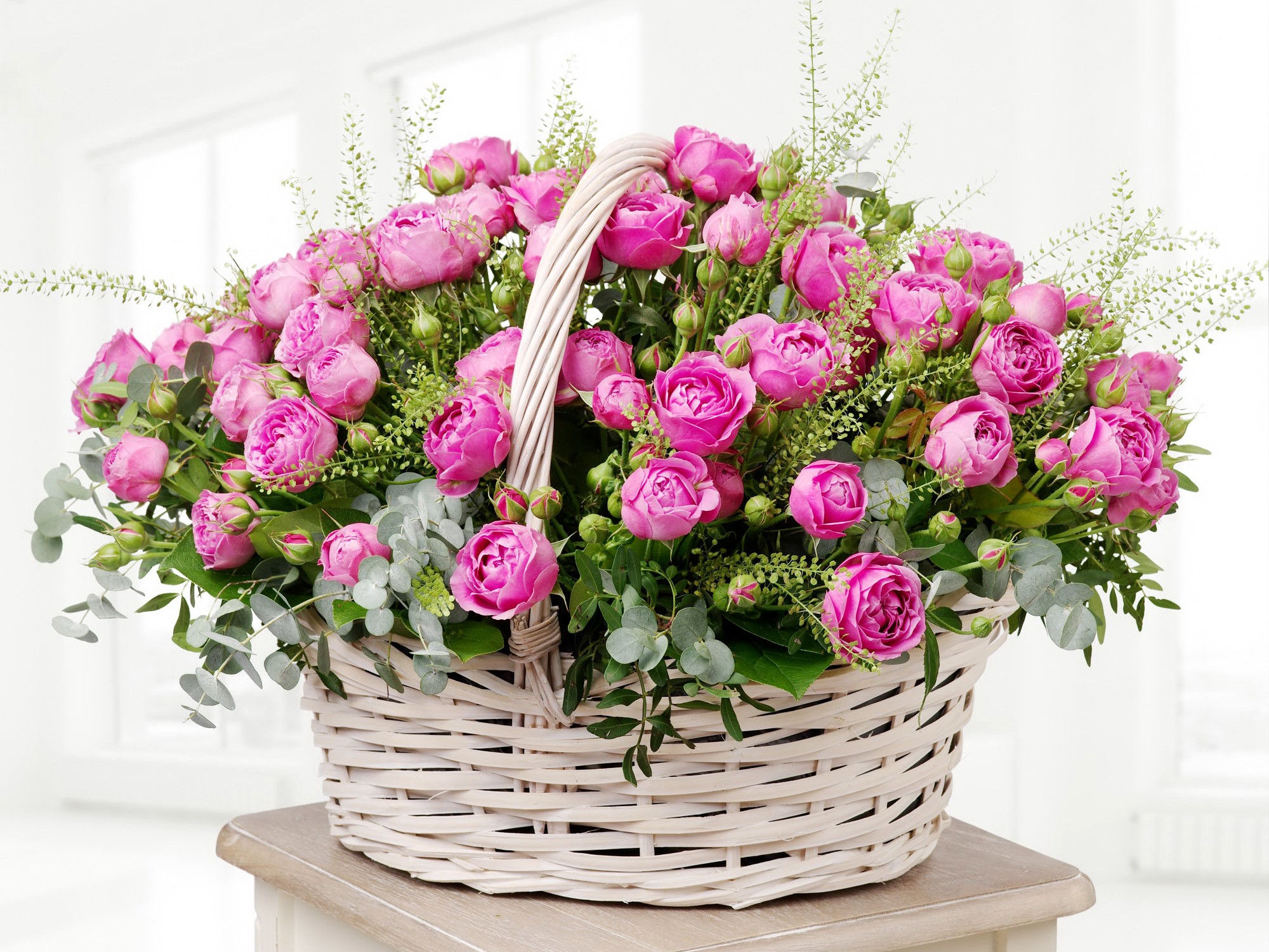 Pink roses in a wicker basket HD Wallpaper