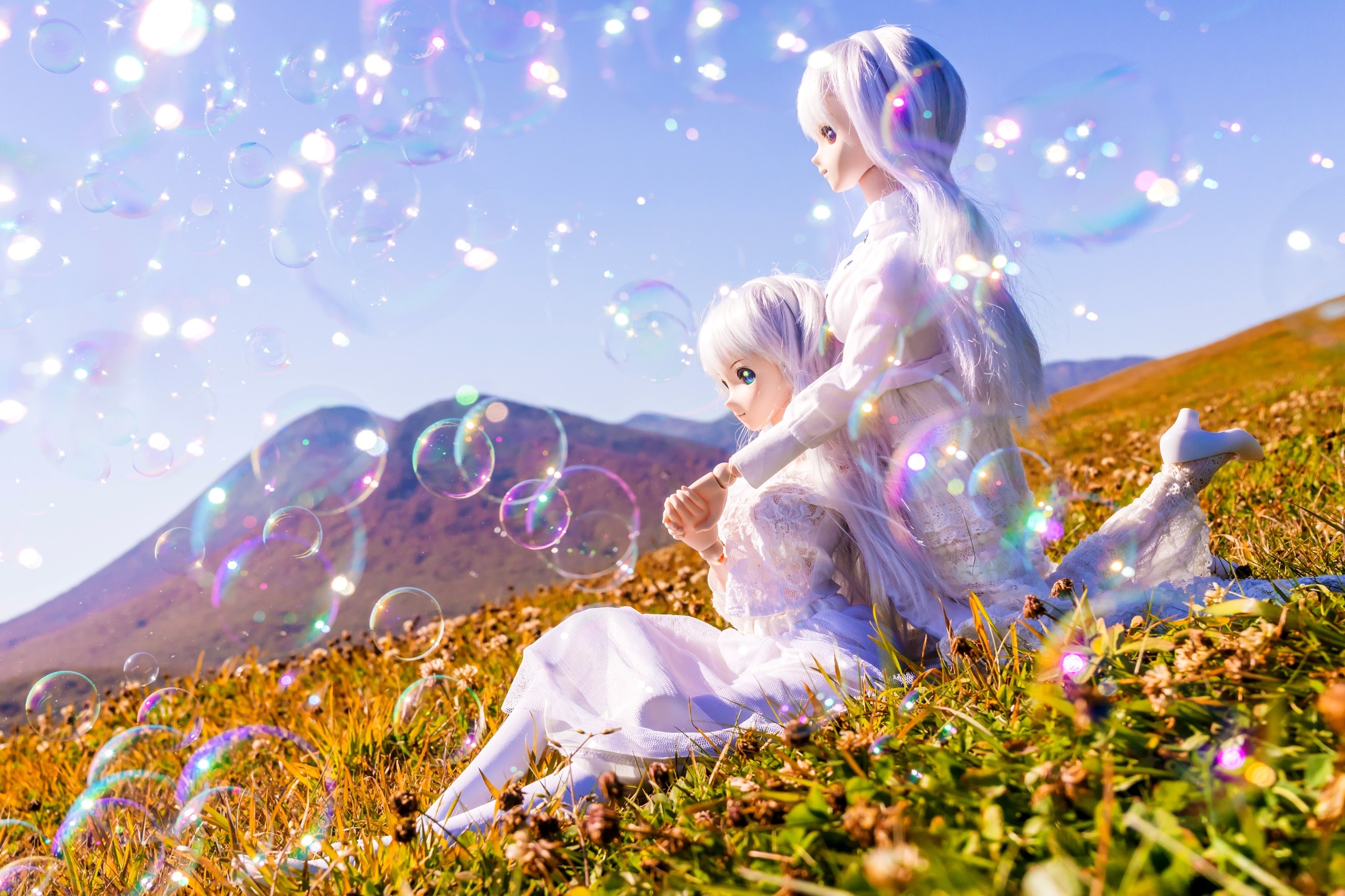 Two dolls with white hair in a field with bubbles HD Wallpaper