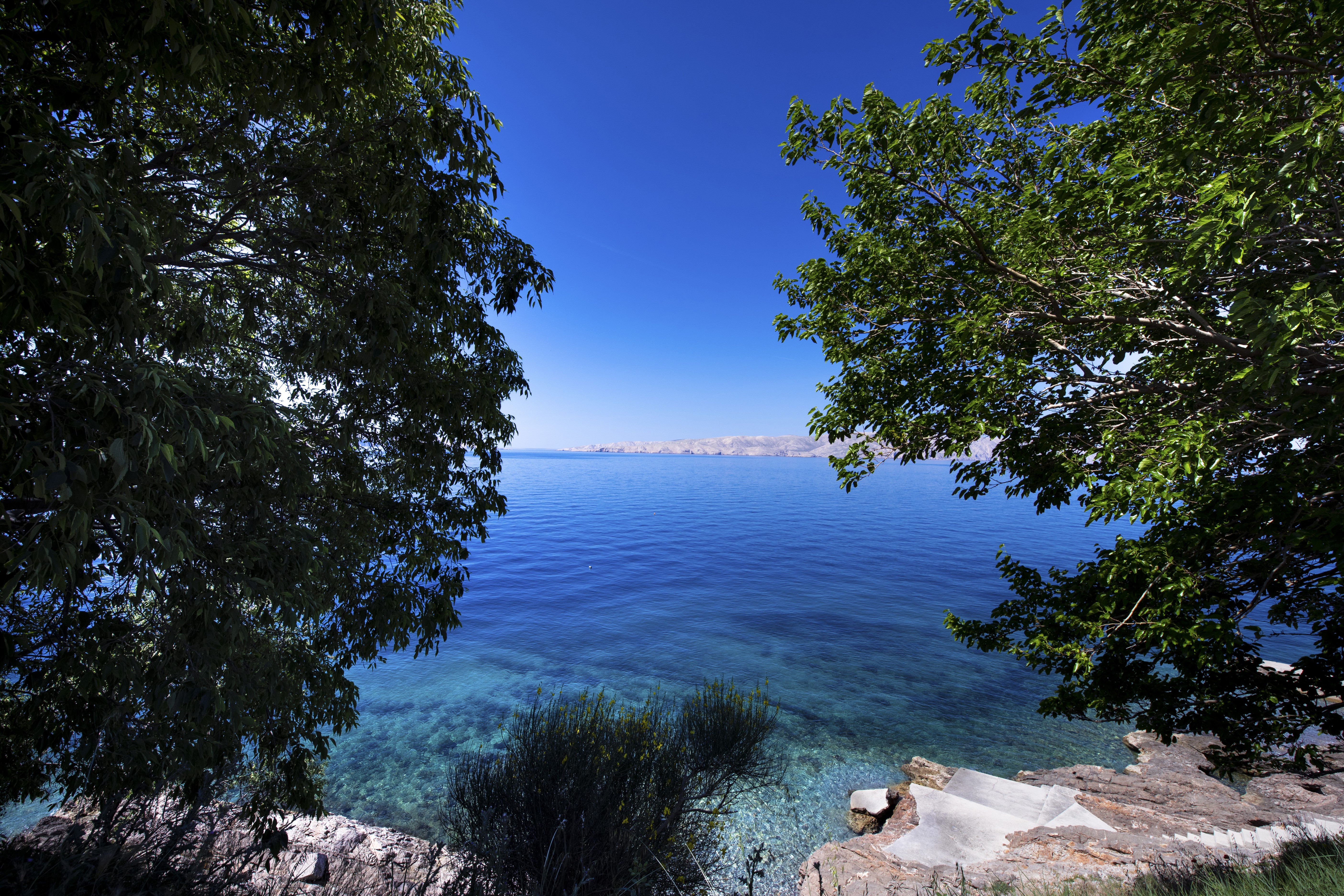 Croatia Coastline with Trees and Clear Blue Water HD Wallpaper