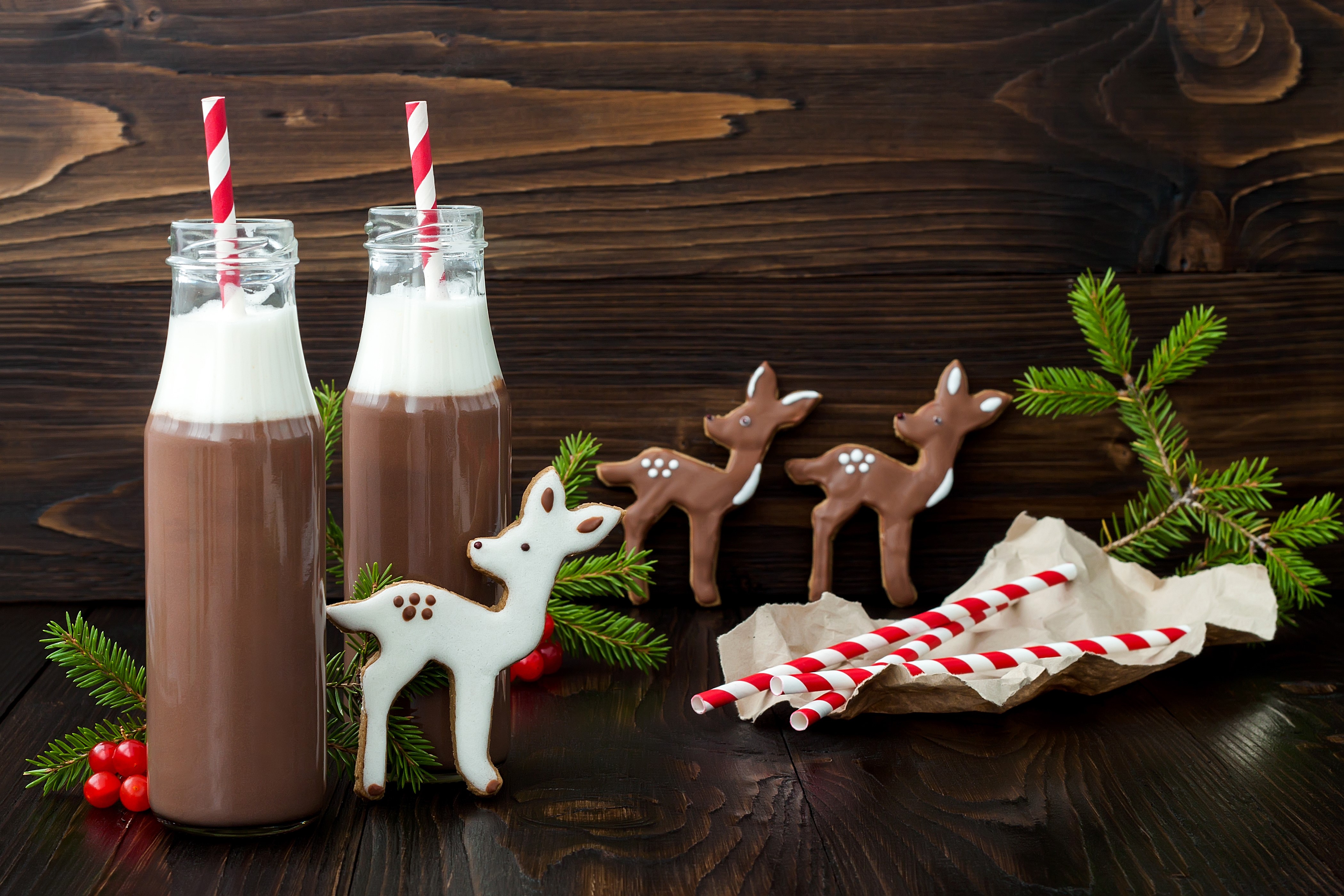 Christmas hot chocolate with deer cookies and pine branches HD Wallpaper