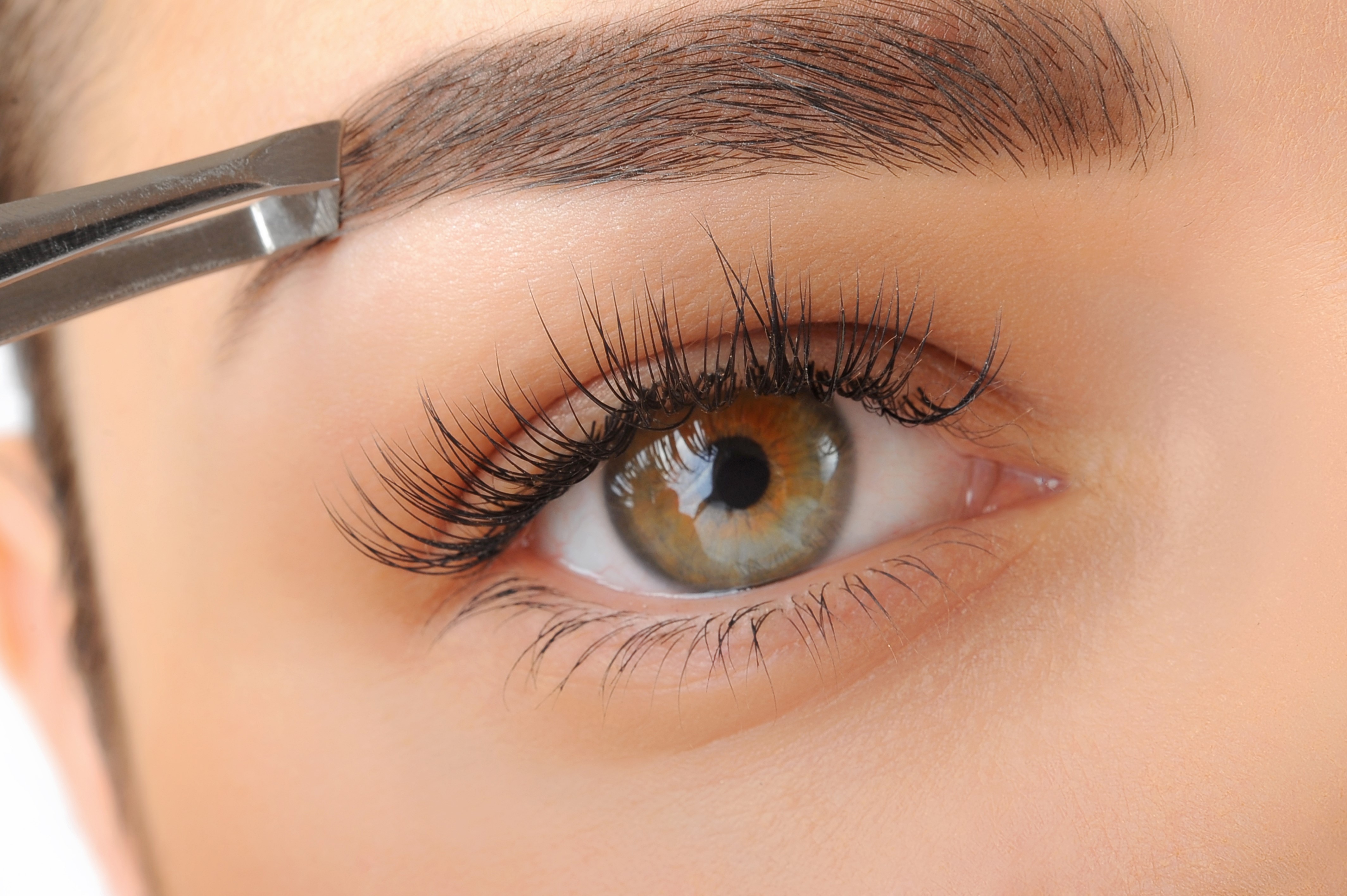 Close-up of a woman's eye with tweezers on eyebrow HD Wallpaper