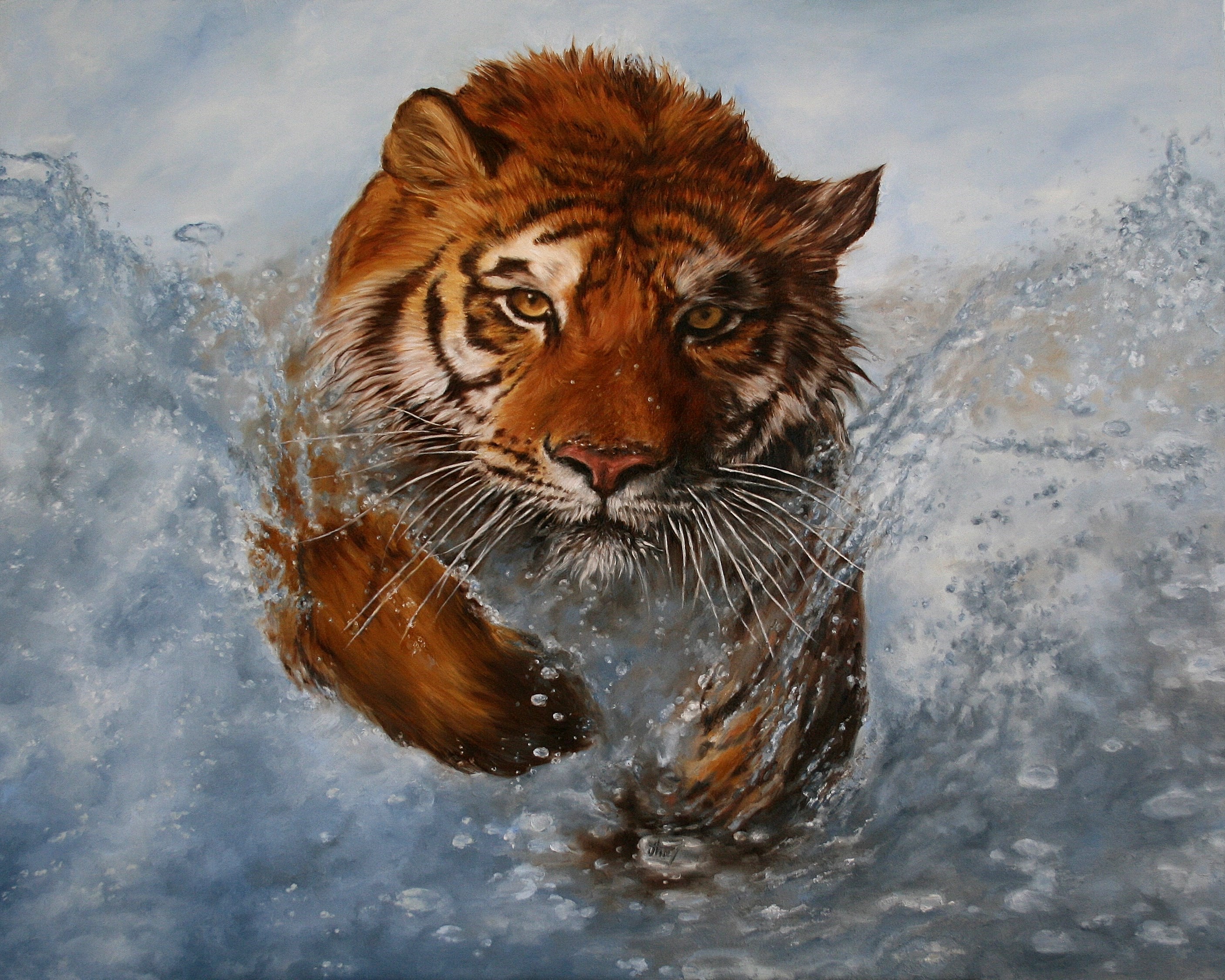 Tiger running through water splashes HD Wallpaper