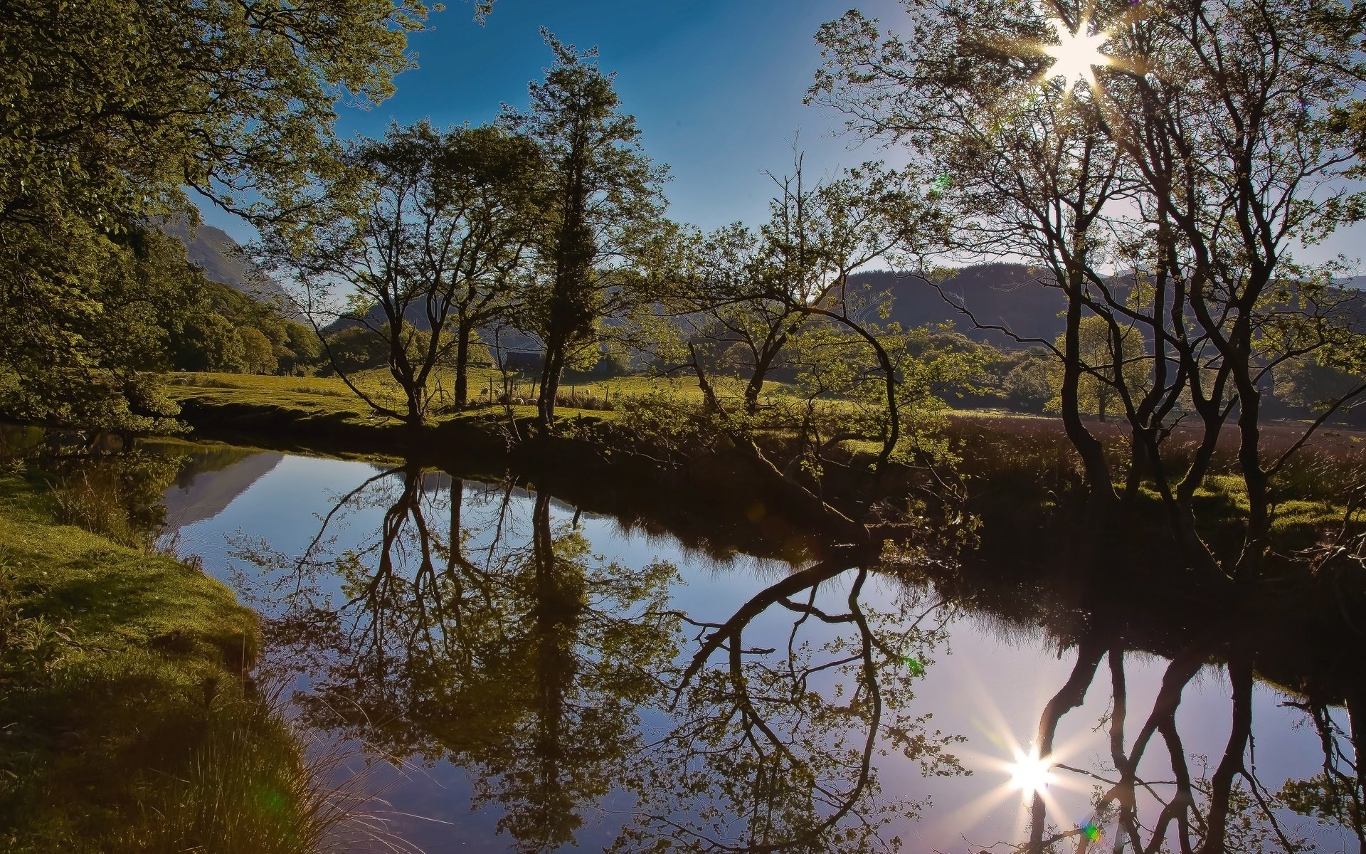 Trees reflected in a calm river under a bright sun HD Wallpaper