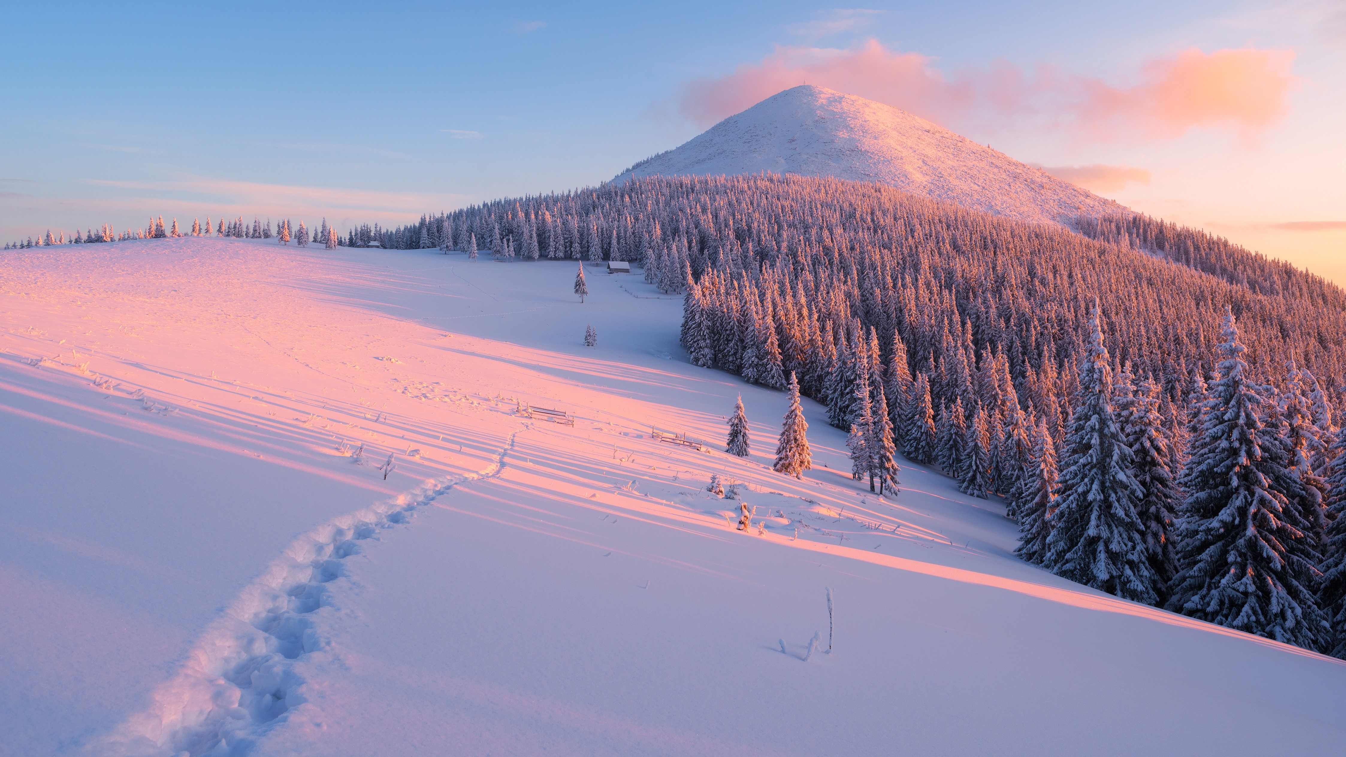 4K Winter Mountains Forest Snow Spruce HD Wallpaper