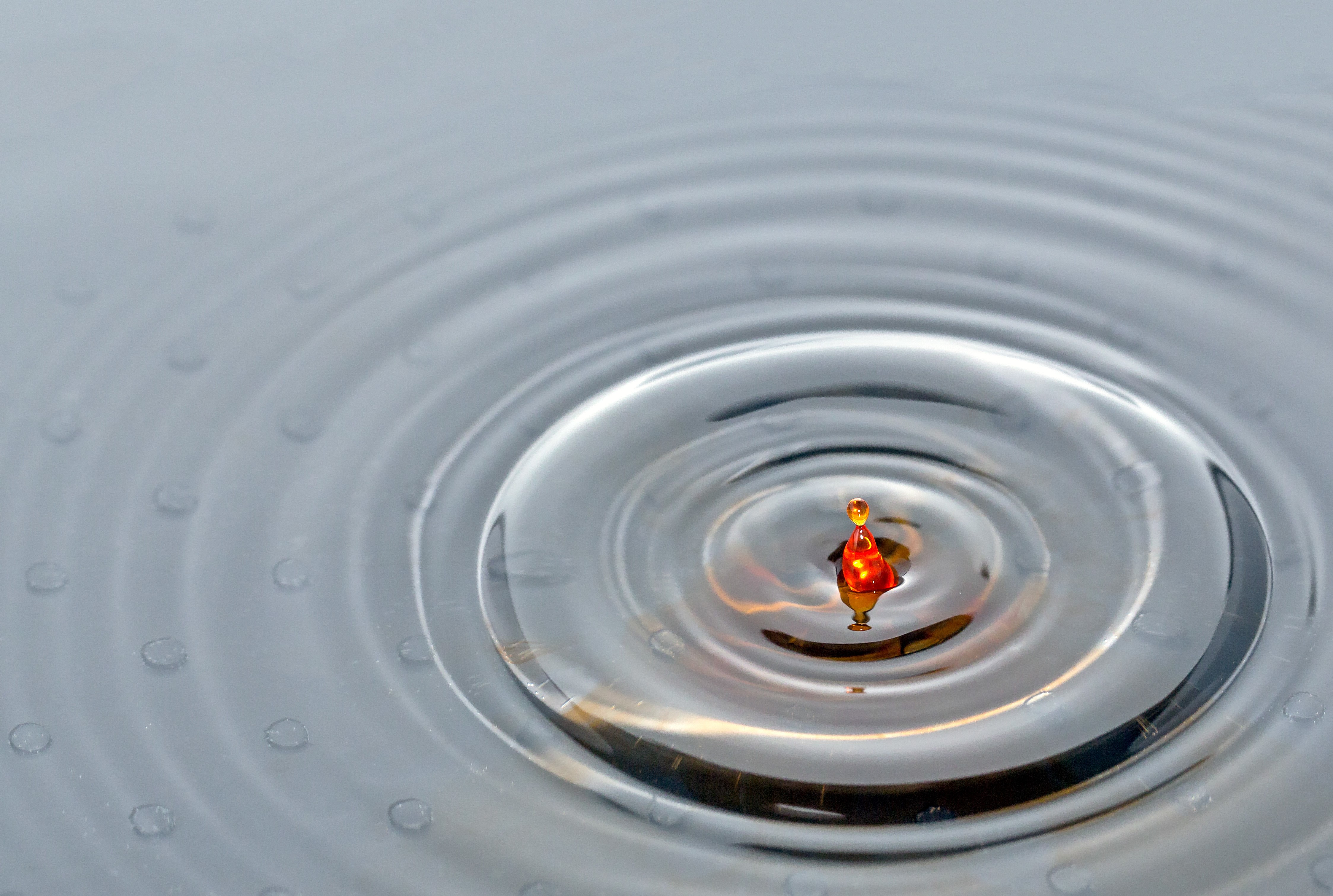 4K Water Drop Ripples Closeup HD Wallpaper