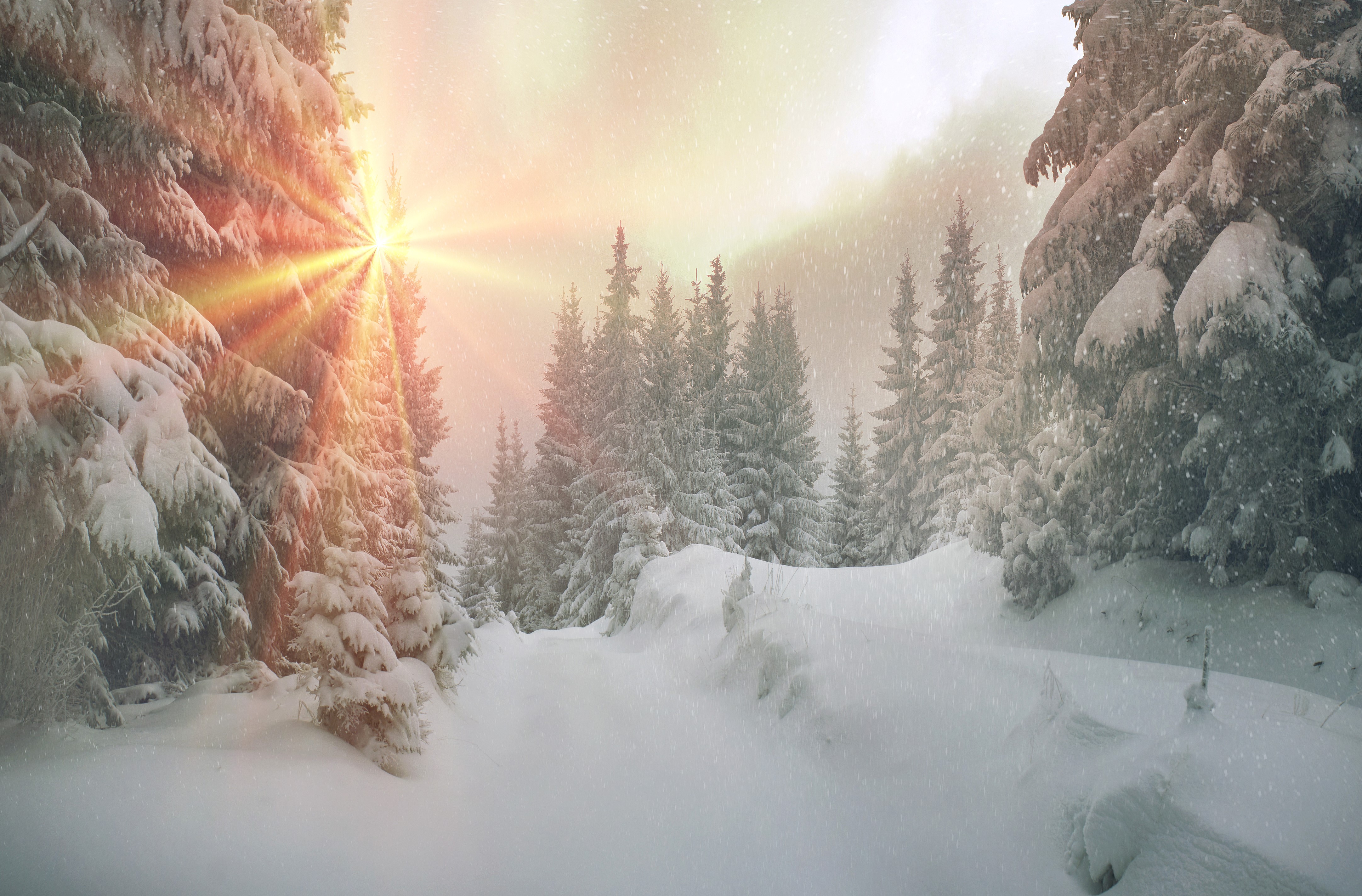 4K Winter Snow in Zakarpattia, Ukraine HD Wallpaper