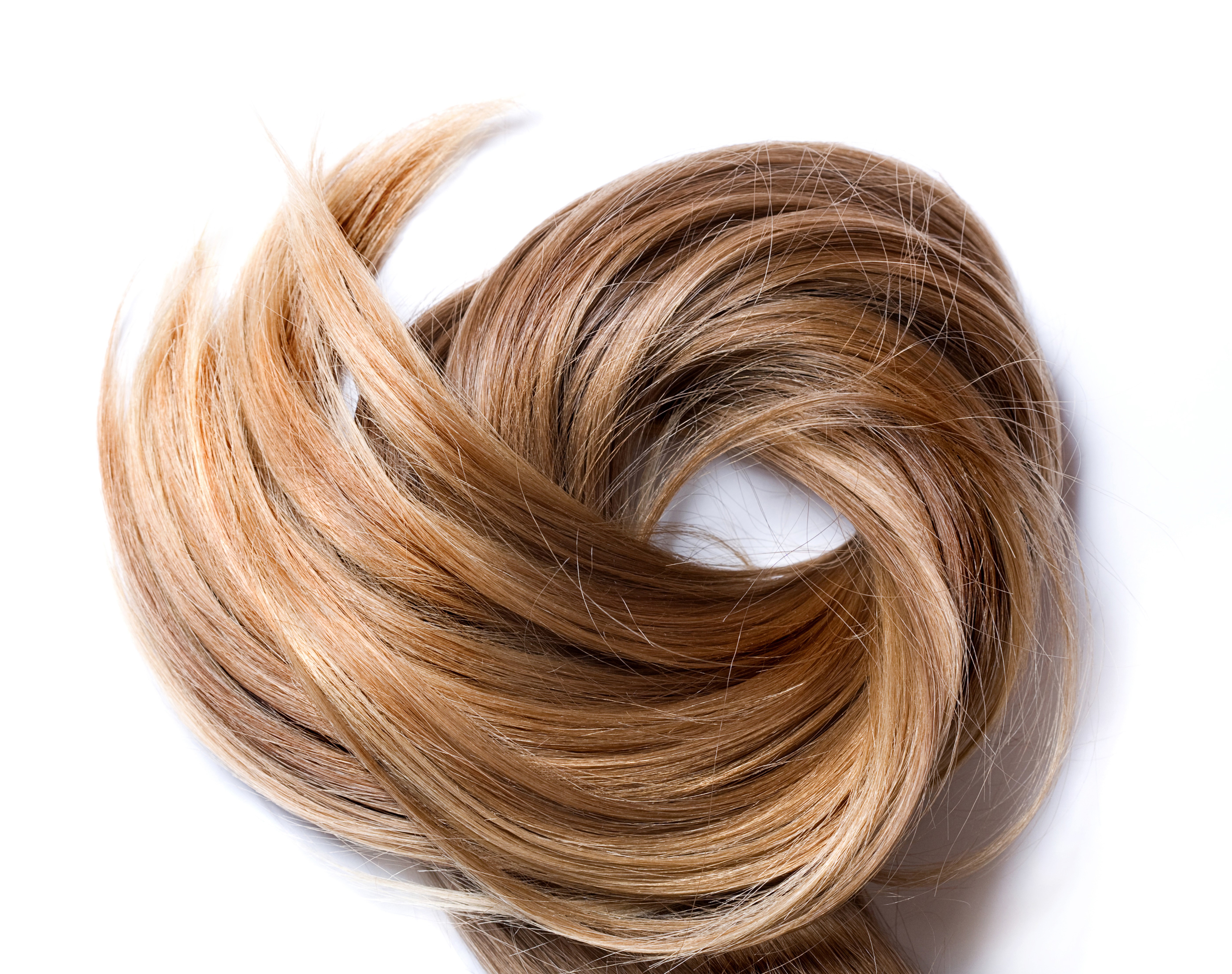 4K Hair Strands in a Circle on White Background HD Wallpaper