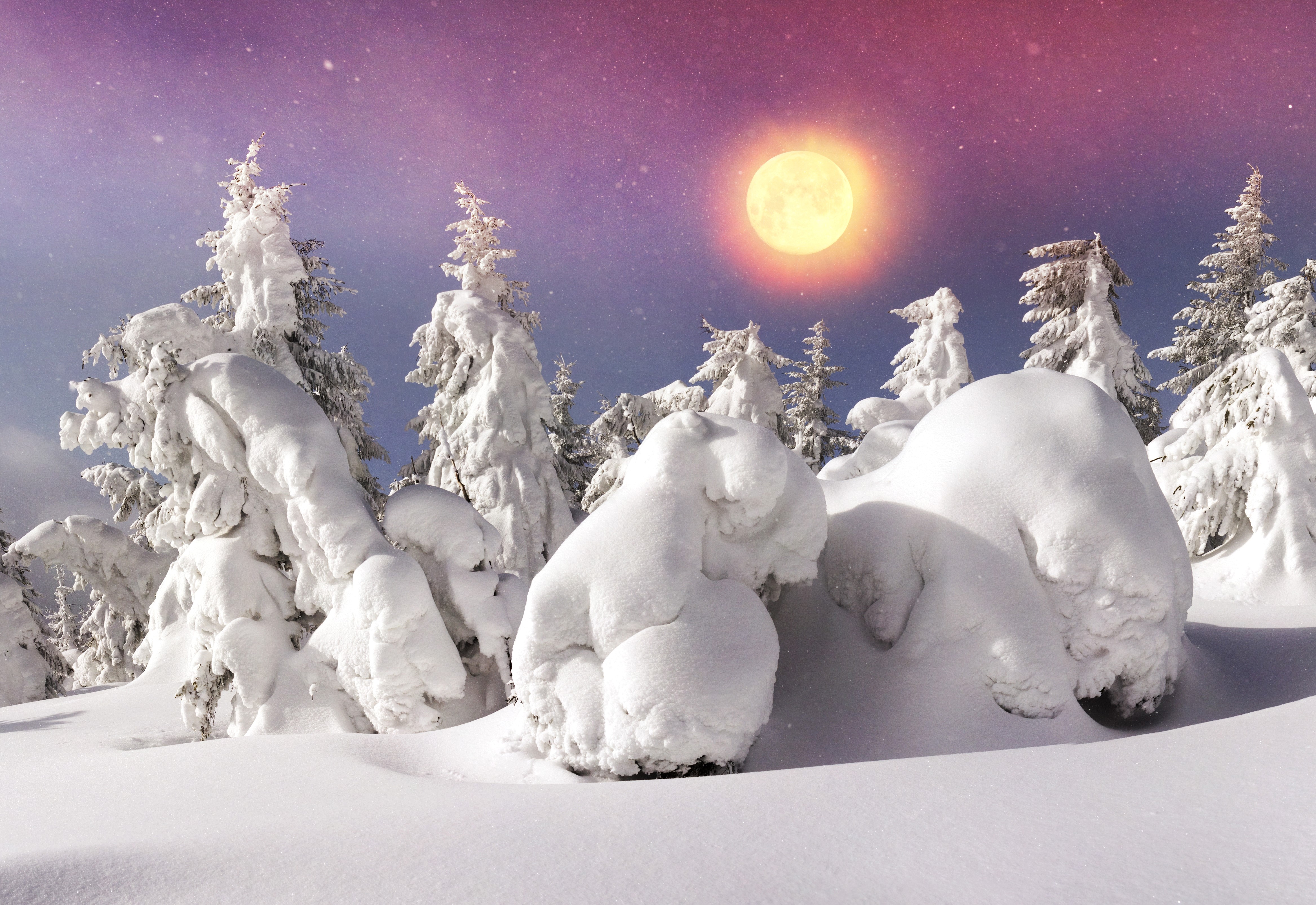 Winter forest with snow-covered trees and a bright sun HD Wallpaper