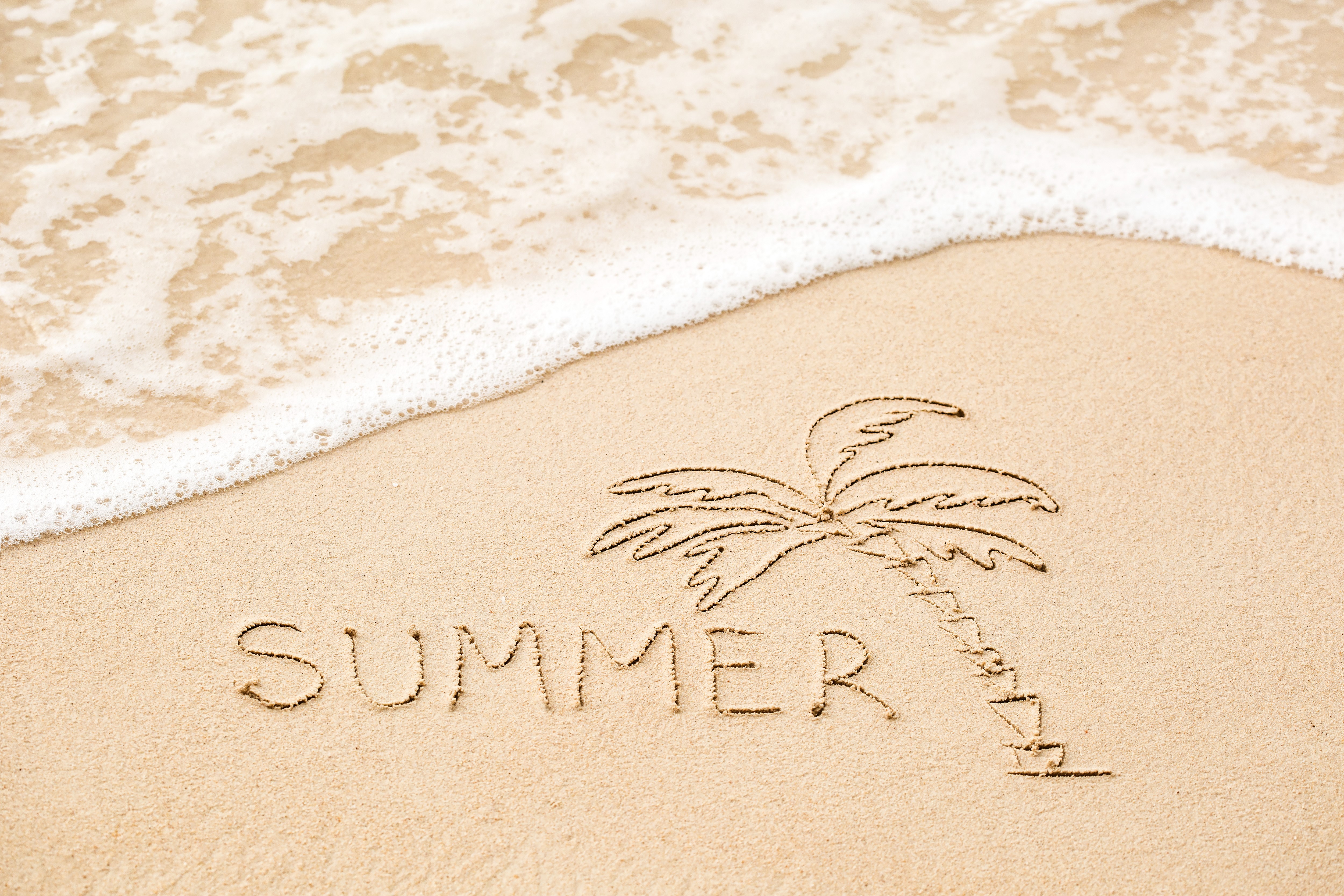 Summer written in sand with palm tree drawing HD Wallpaper