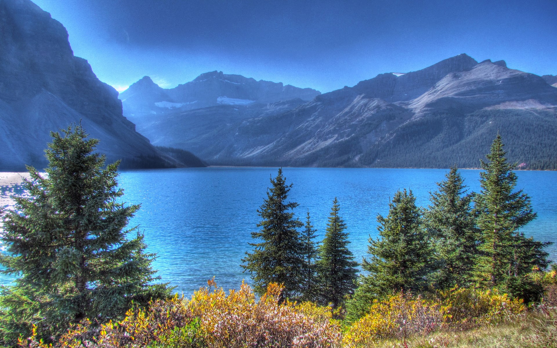 Lake and mountains with pine trees in the foreground HD Wallpaper