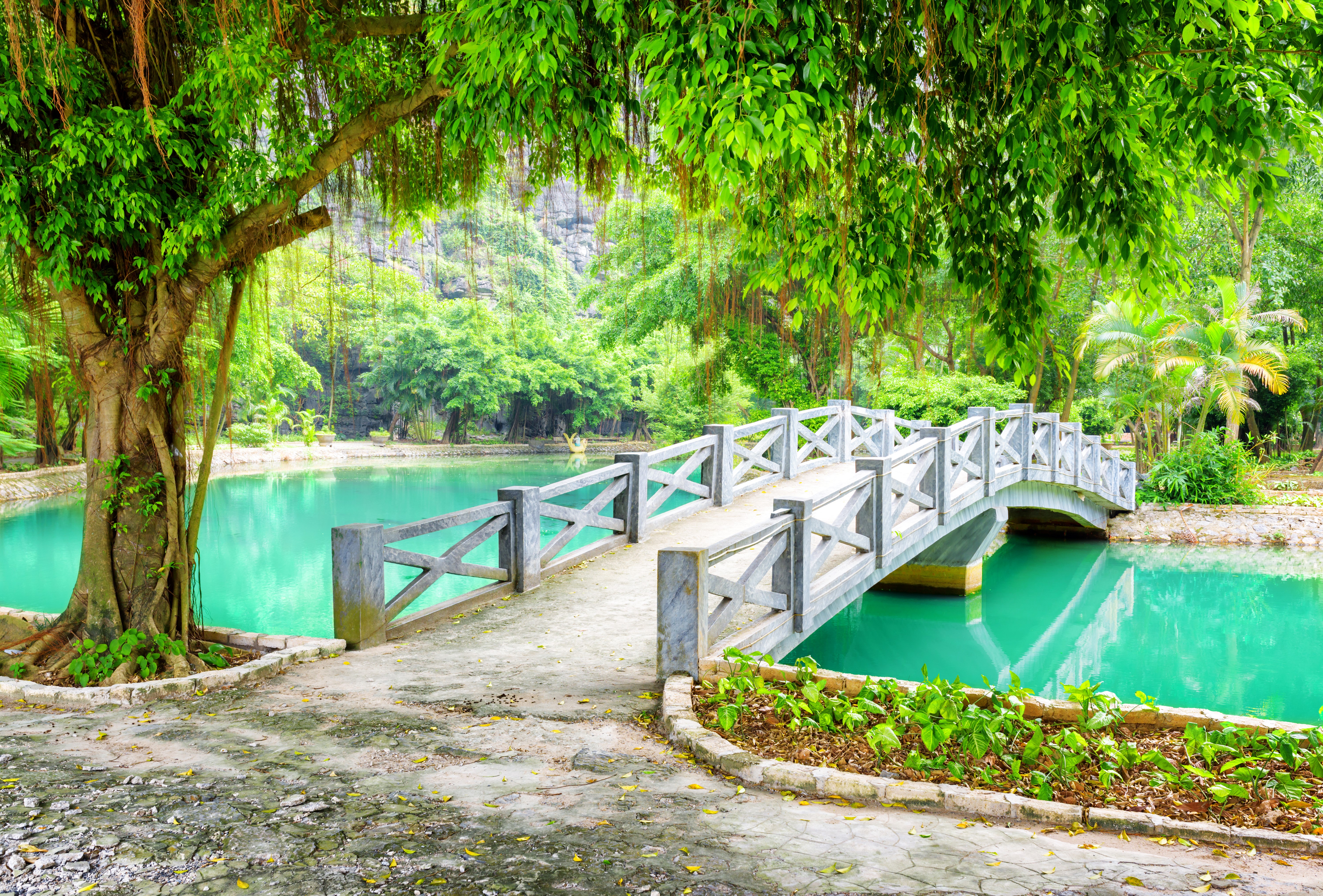 Bridge over a turquoise pond in Ninh Binh Province, Vietnam HD Wallpaper