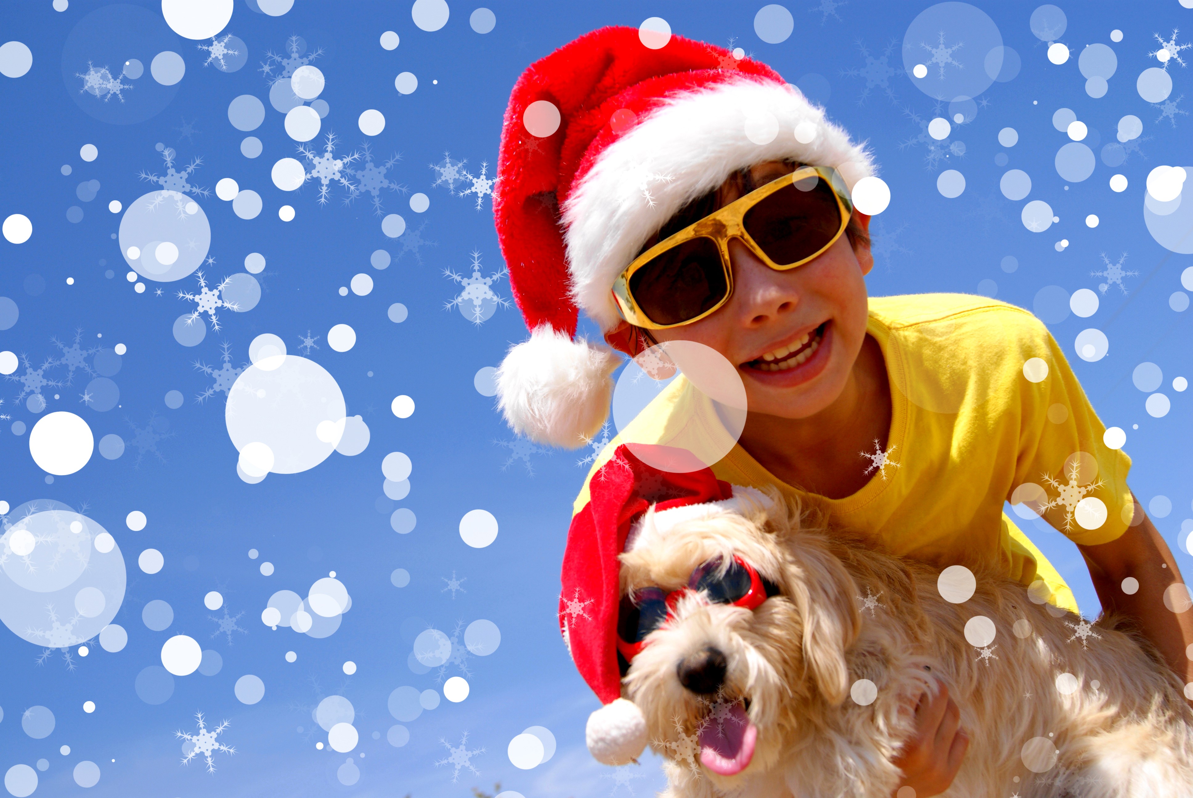 Boy and dog wearing Santa hats and sunglasses HD Wallpaper
