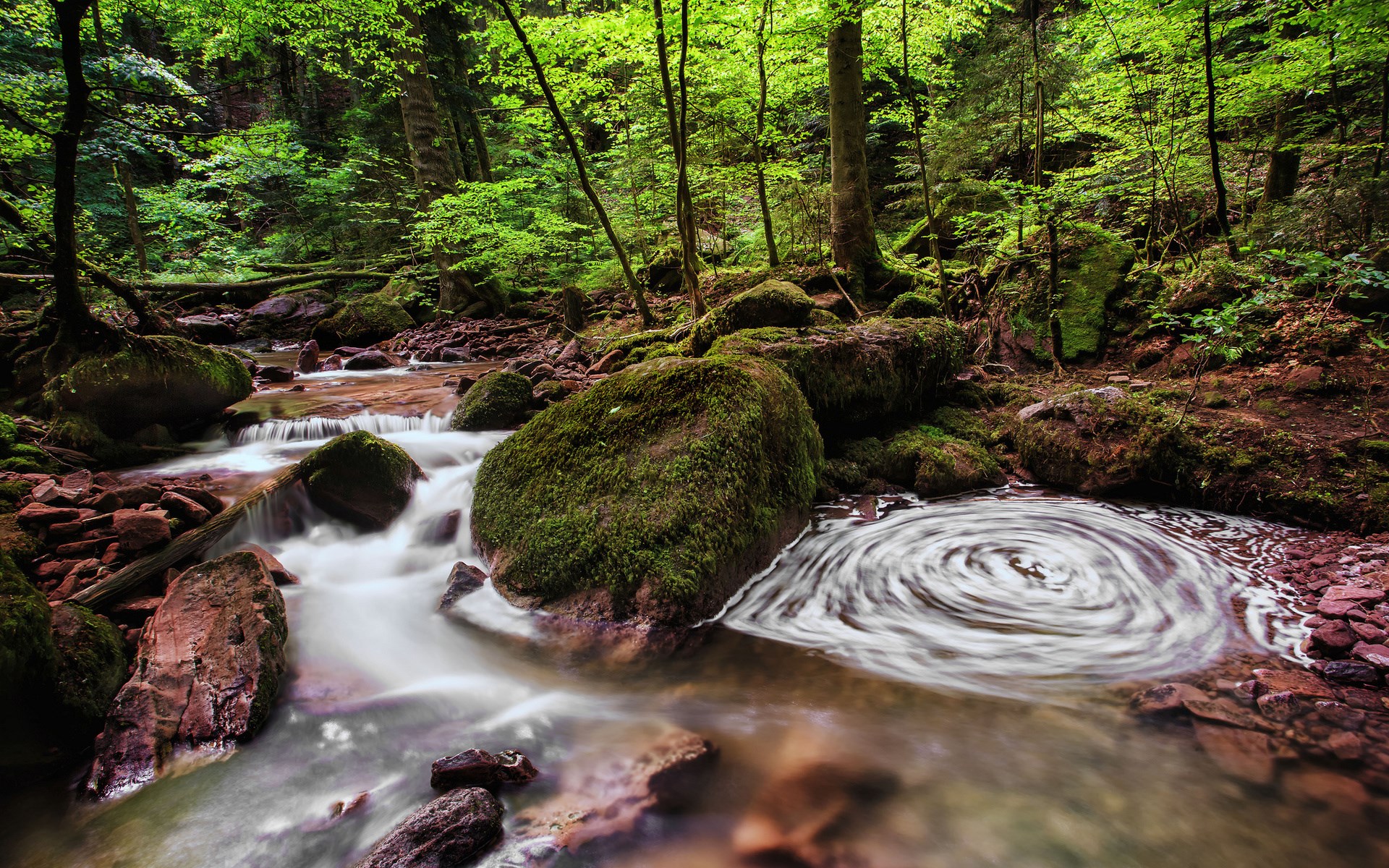 Forest stream with mossy rocks and swirling water HD Wallpaper