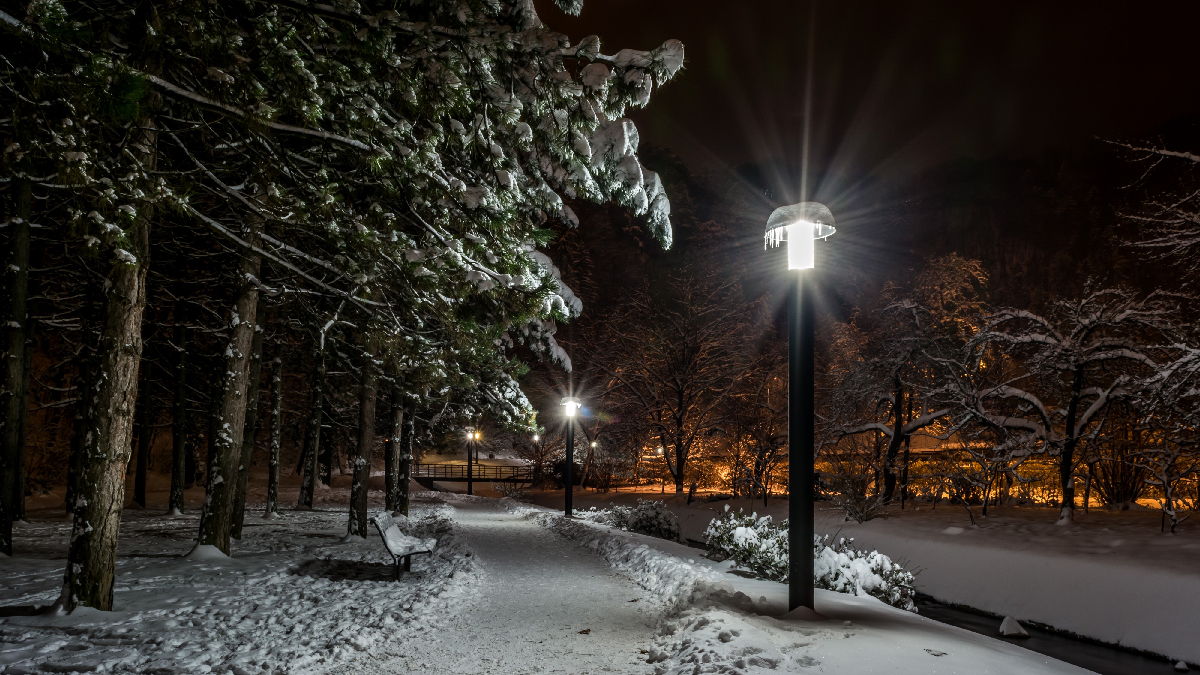 Park in Samobor, Croatia at Night in Winter HD Wallpaper
