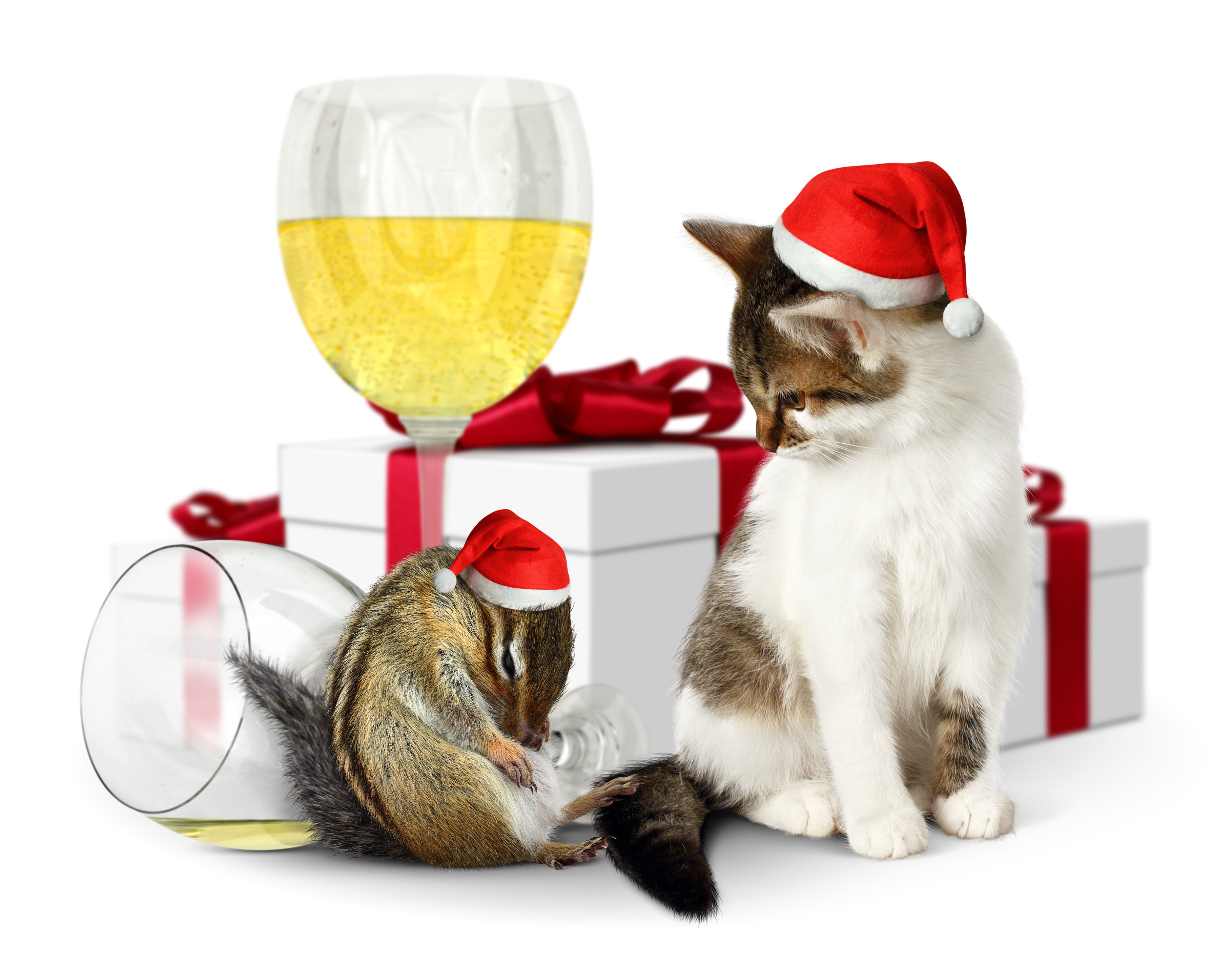 Kitten and Chipmunk in Santa Hats with Champagne and Gifts HD Wallpaper